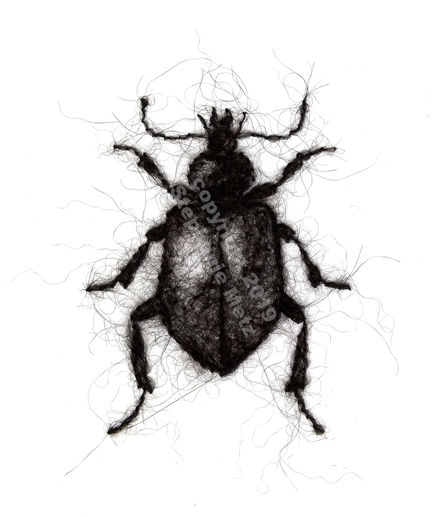 Beetle #10