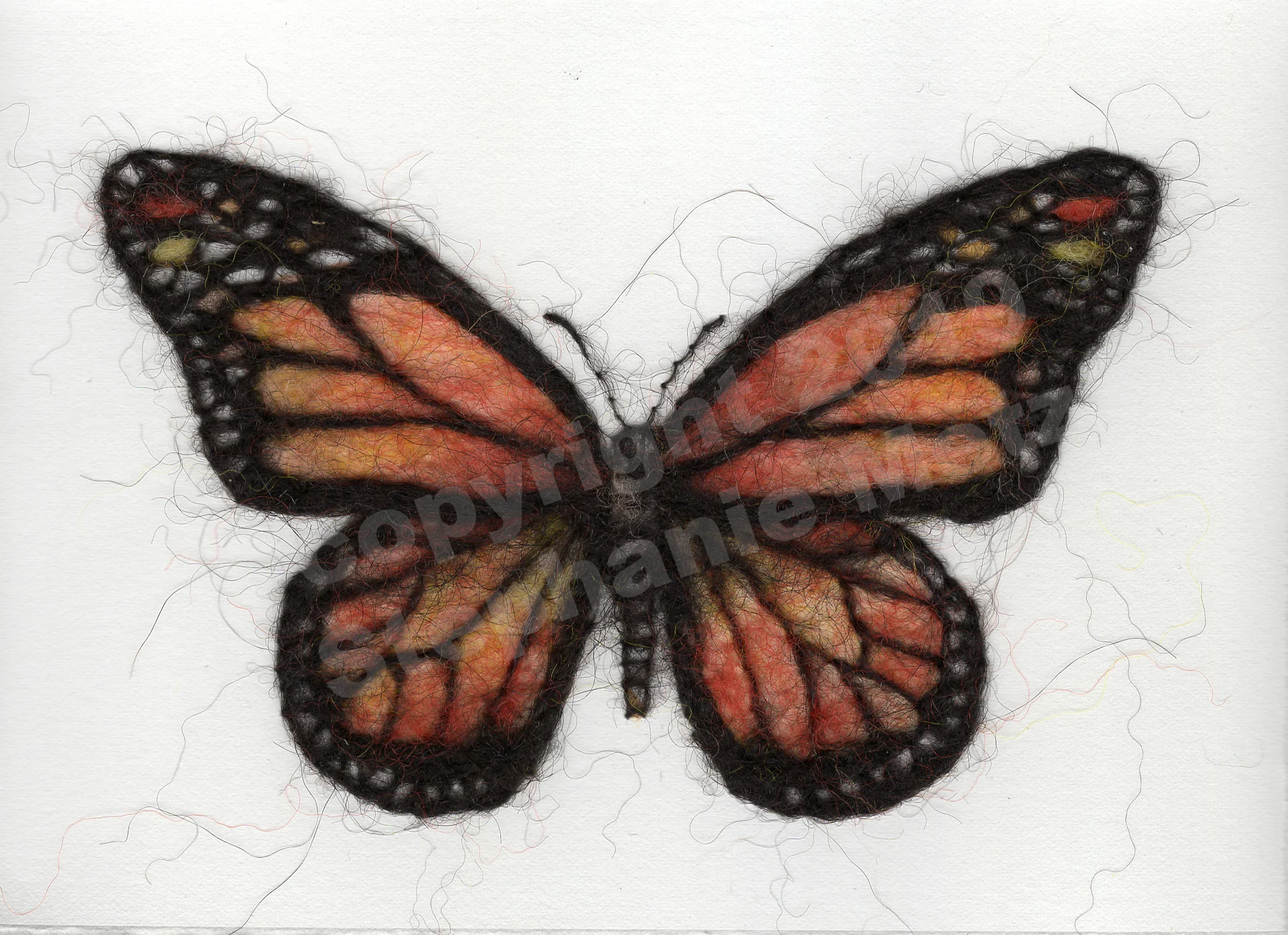 Monarch Butterfly