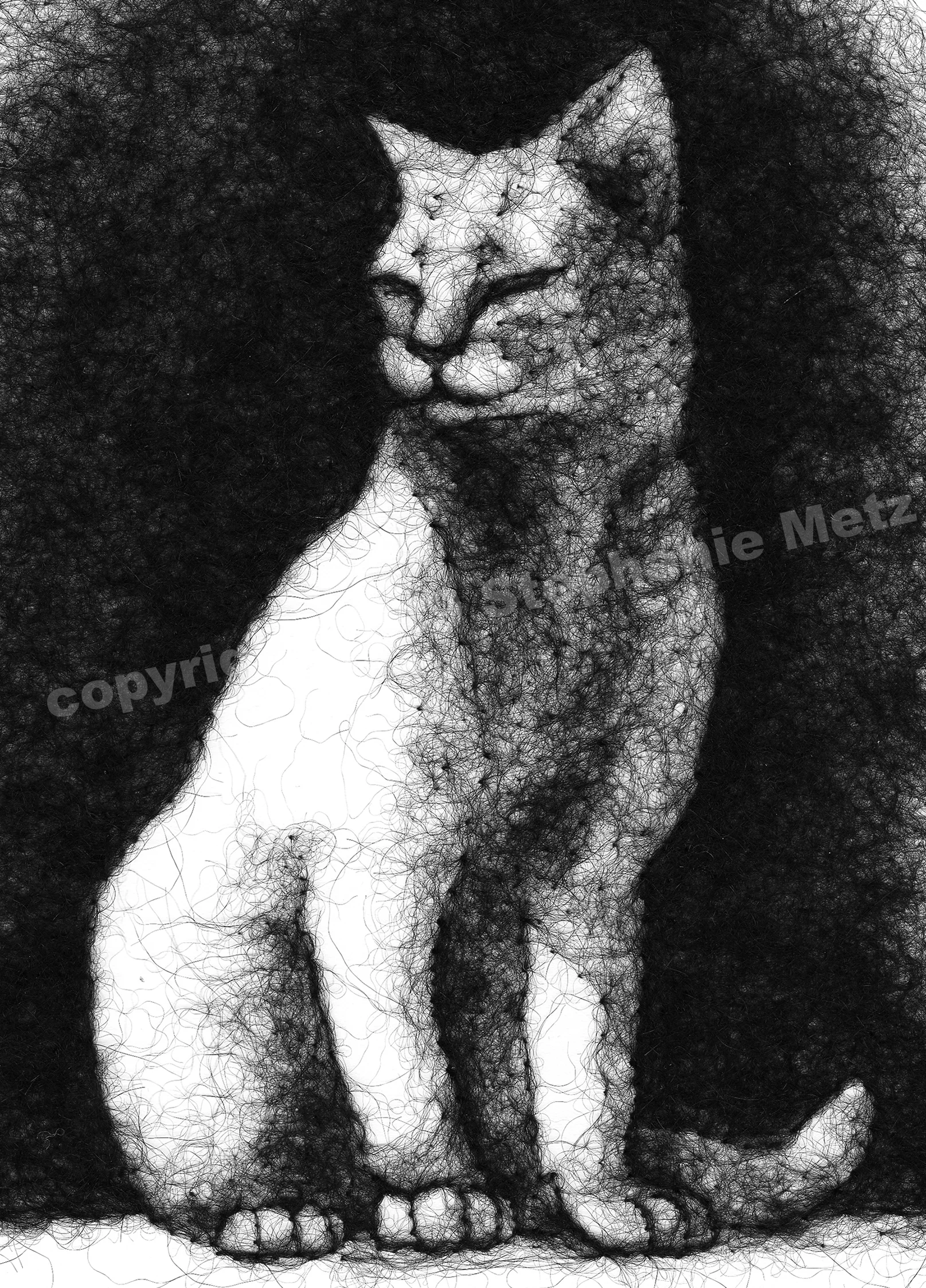 Cat in the Sun Detail 1