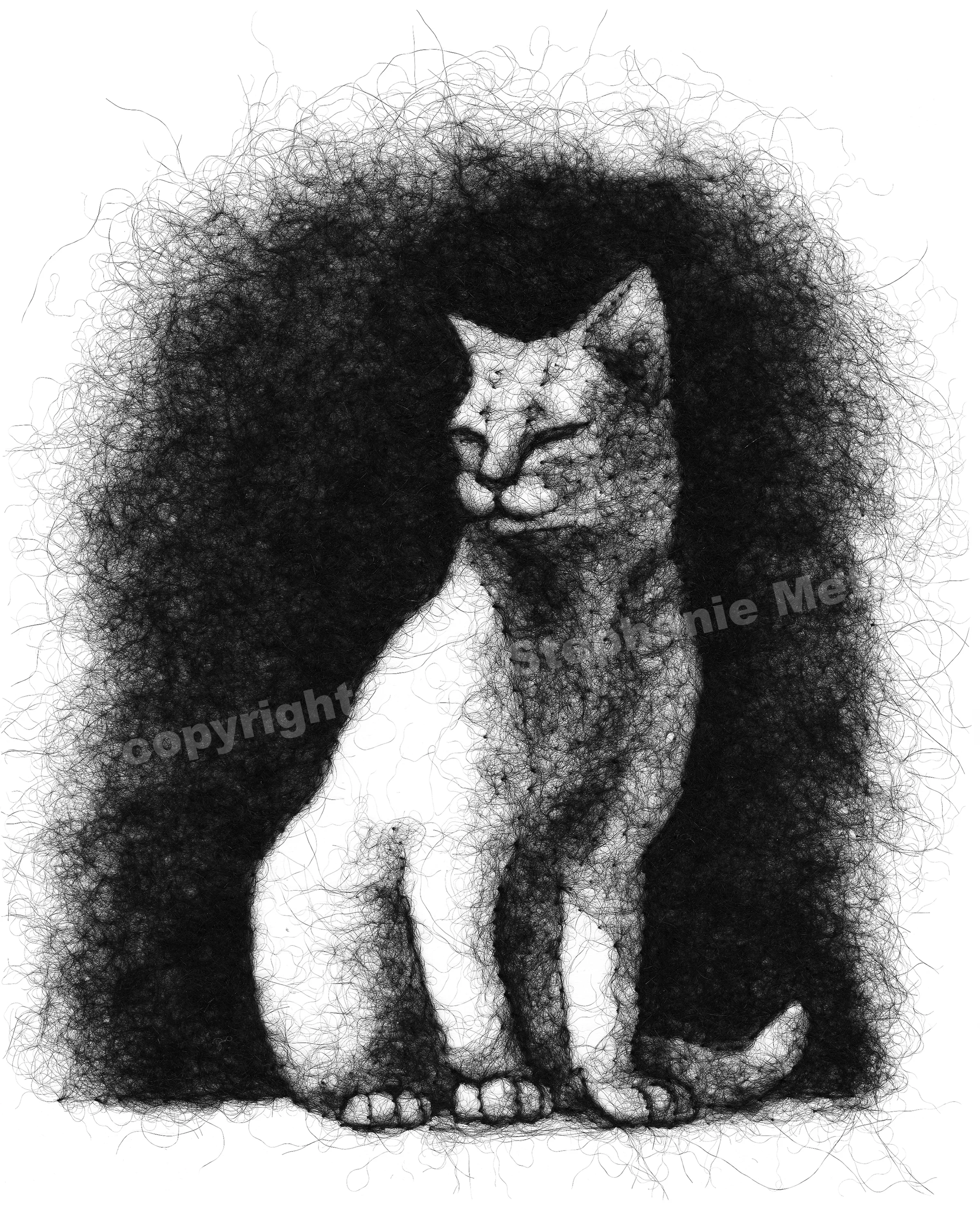 Cat In the Sun Wool Drawing Archival Print ($75 Pledge)