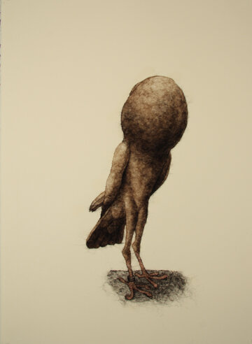 Pygmy Pouter, wool through paper, 30" x 22", 2016