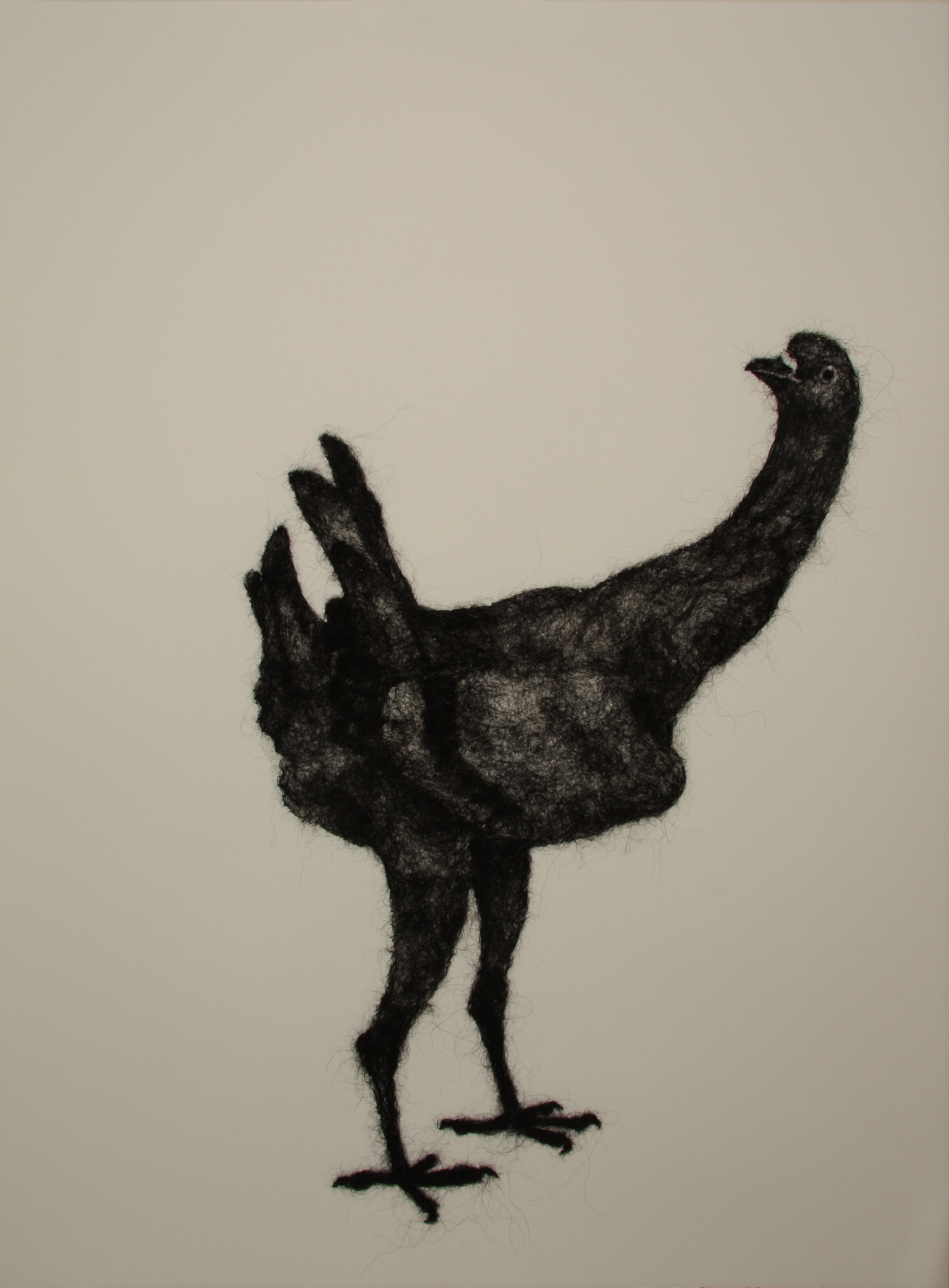 Maltese, wool through paper, 30" x 22", 2007