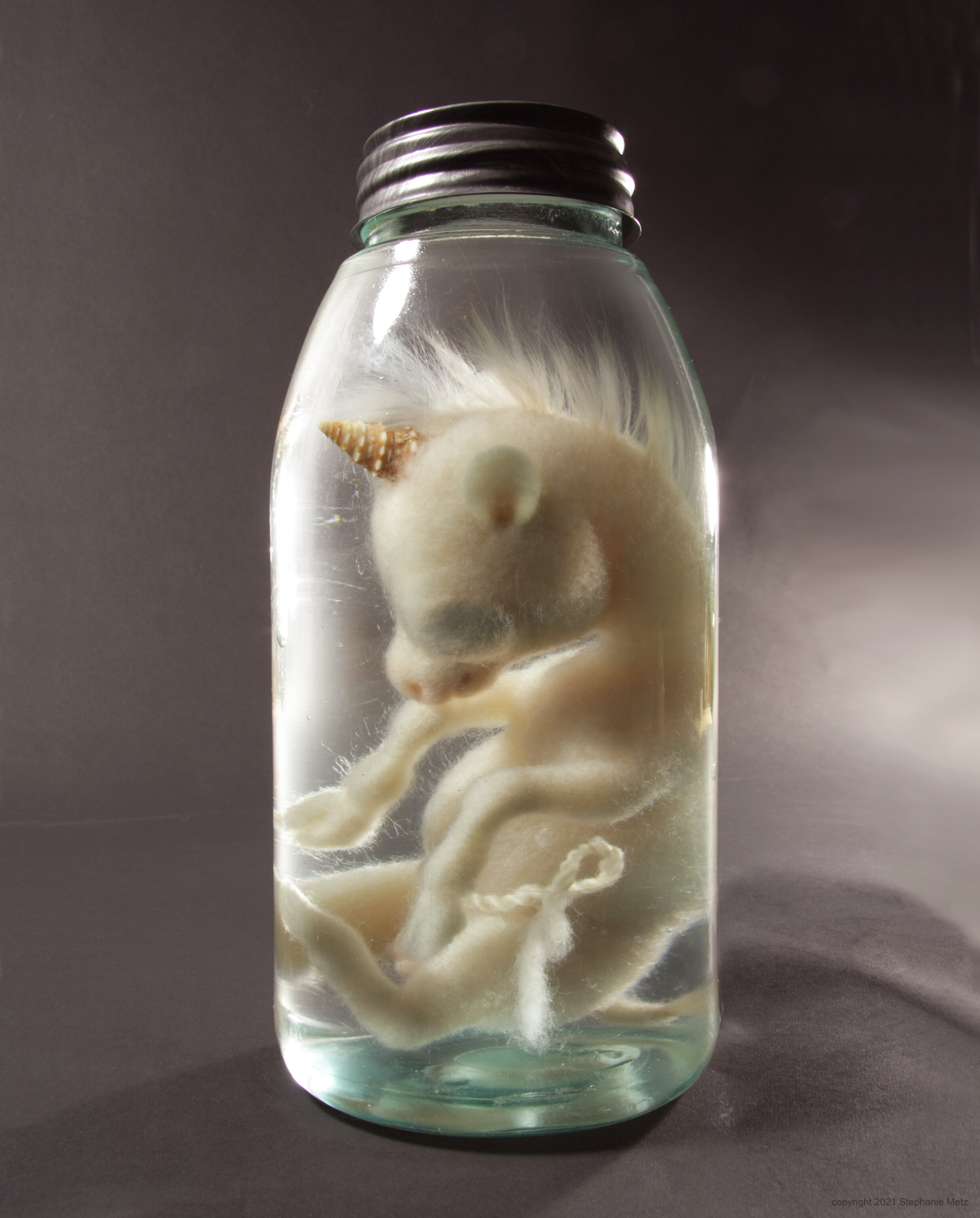 Unicornus brunneis in jar copyrighted.jpg