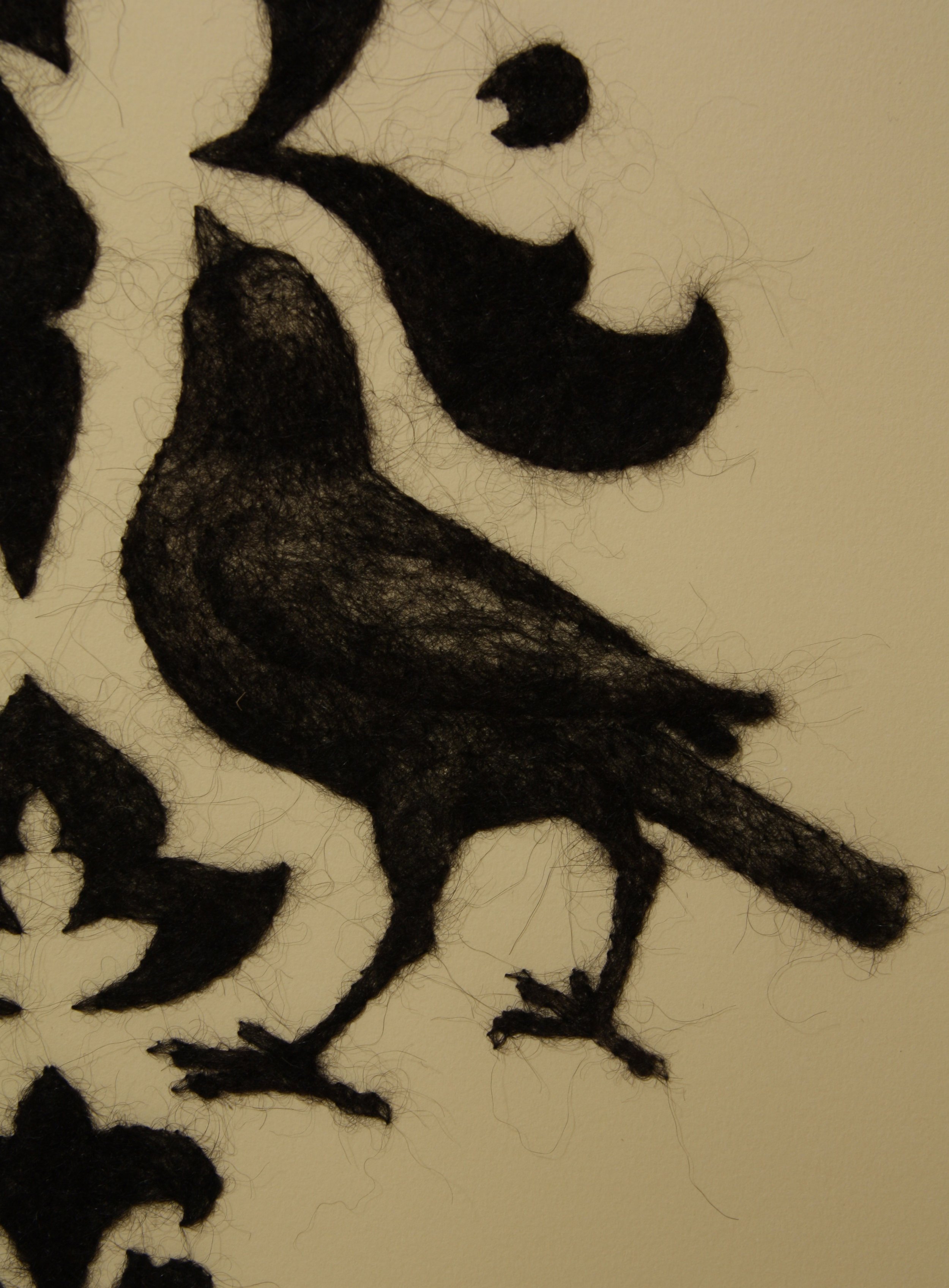 Damask Blackbird Detail IMG_6642.jpg