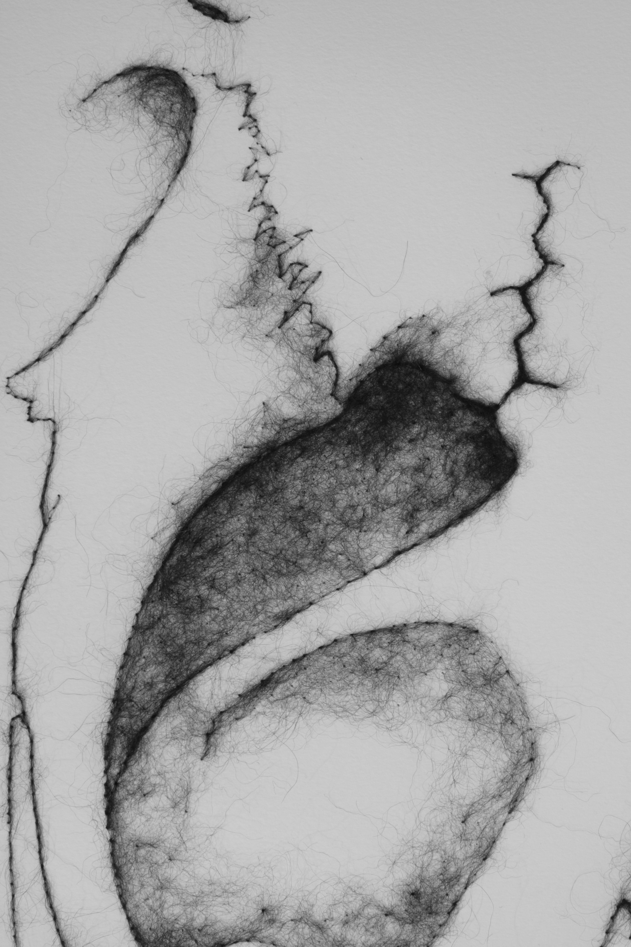 Bone Study 3 Detail.jpg