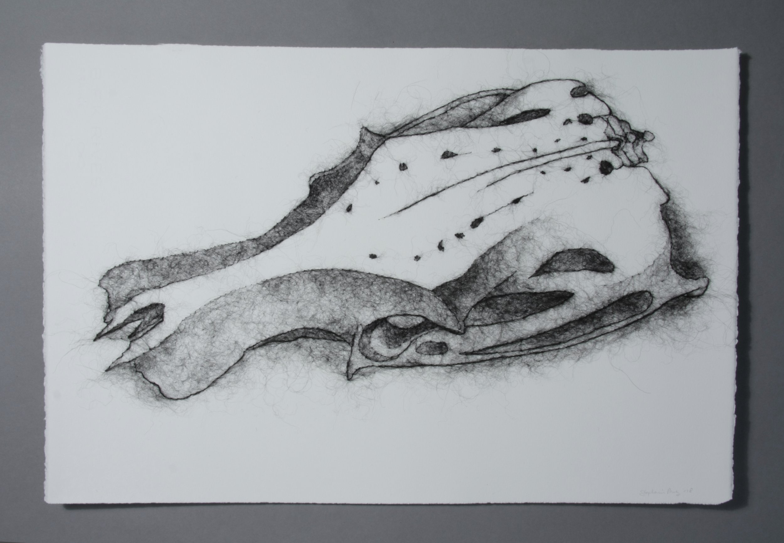 Bone Study 4.jpg