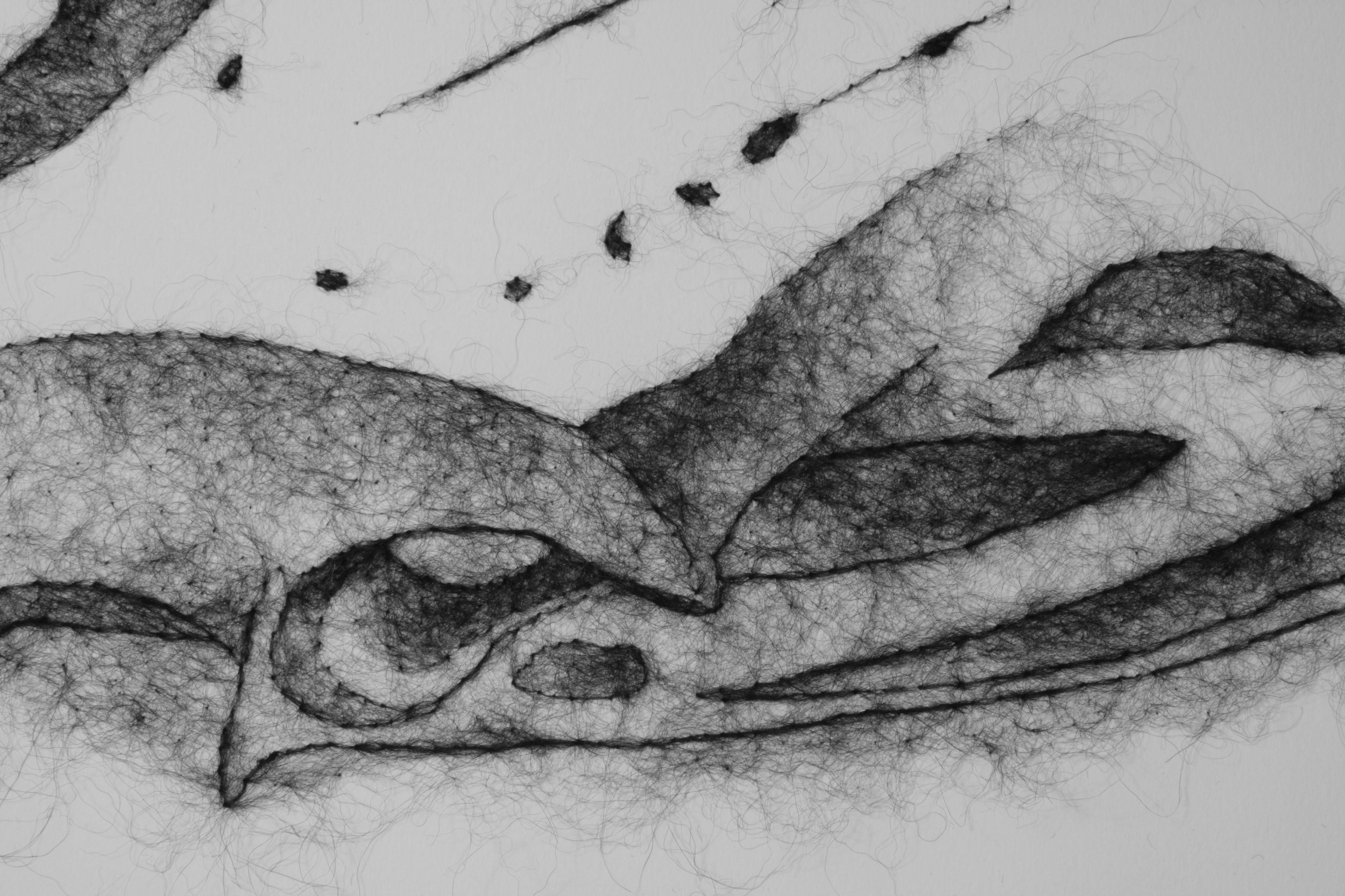 Bone Study 4 Detail 2.jpg