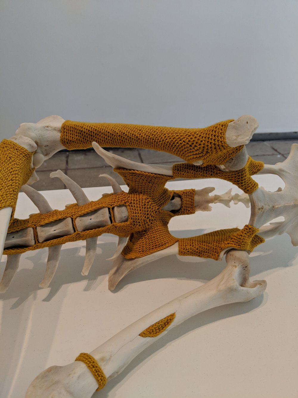 Esther Traugot, 'Deer One', found deer skeleton, dyed, crocheted bamboo cotton yarn