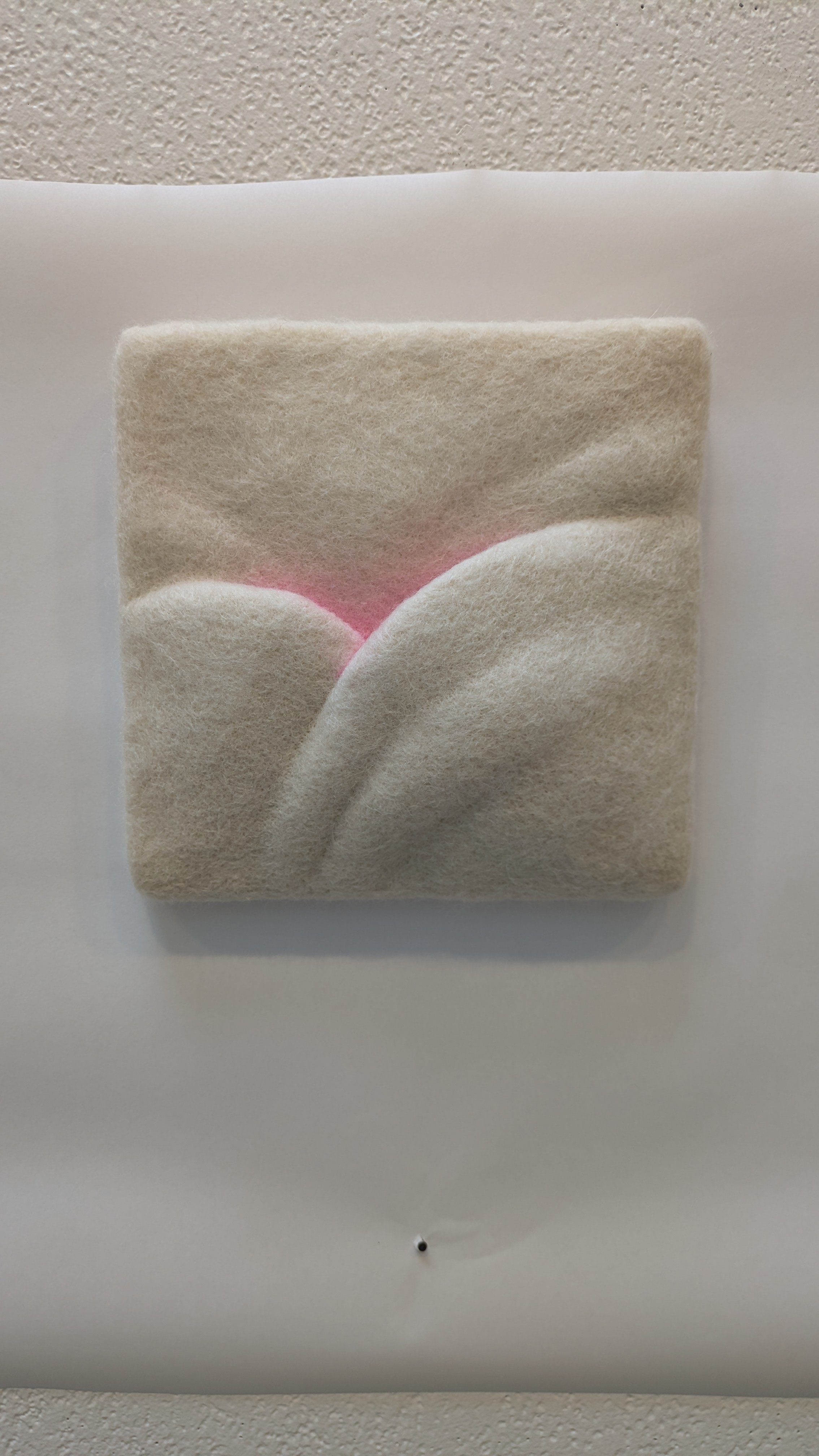 Pinkness Panel #1 (Valley Curves)