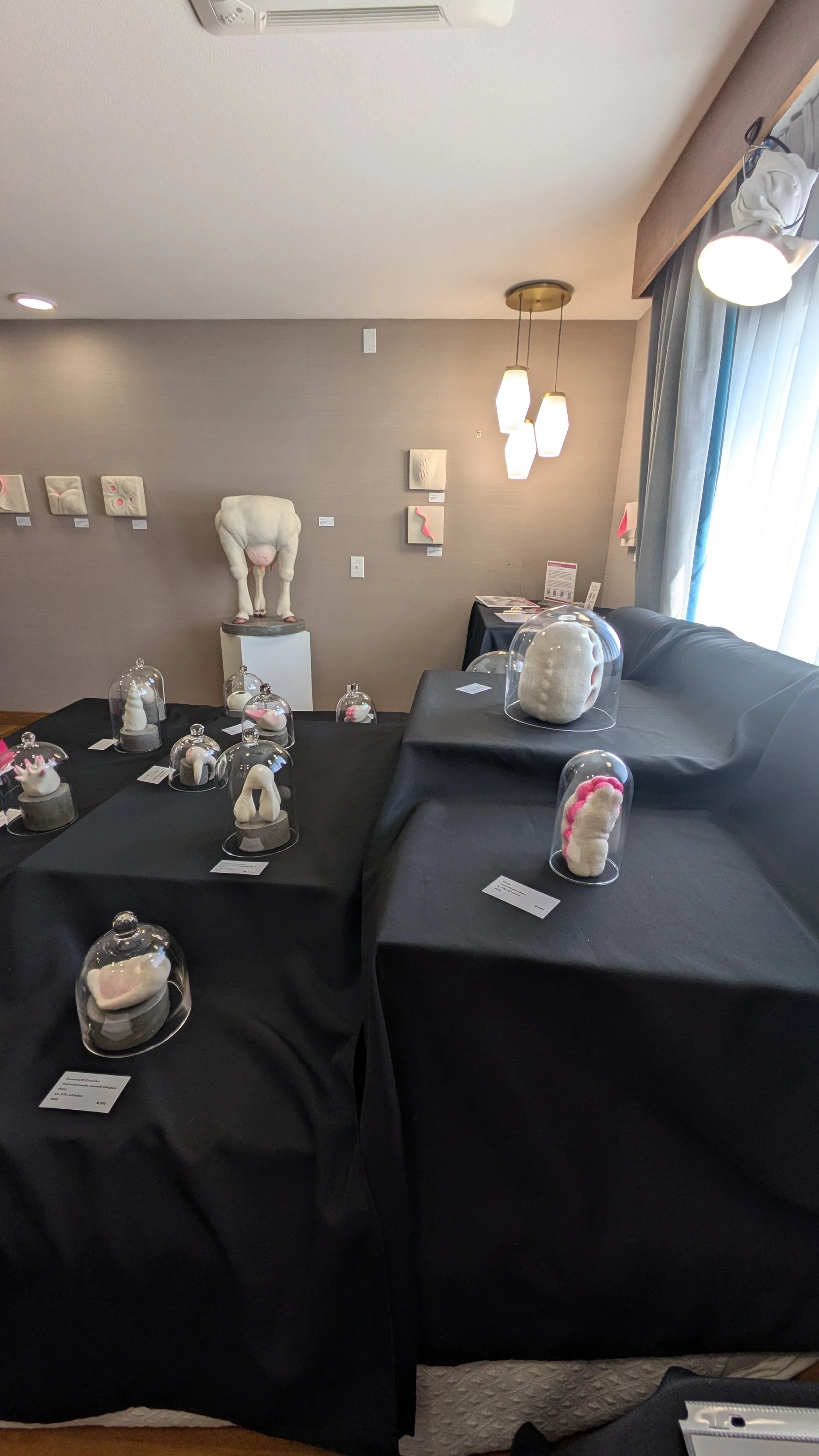 Room- Askew corner towards Acephala.jpg