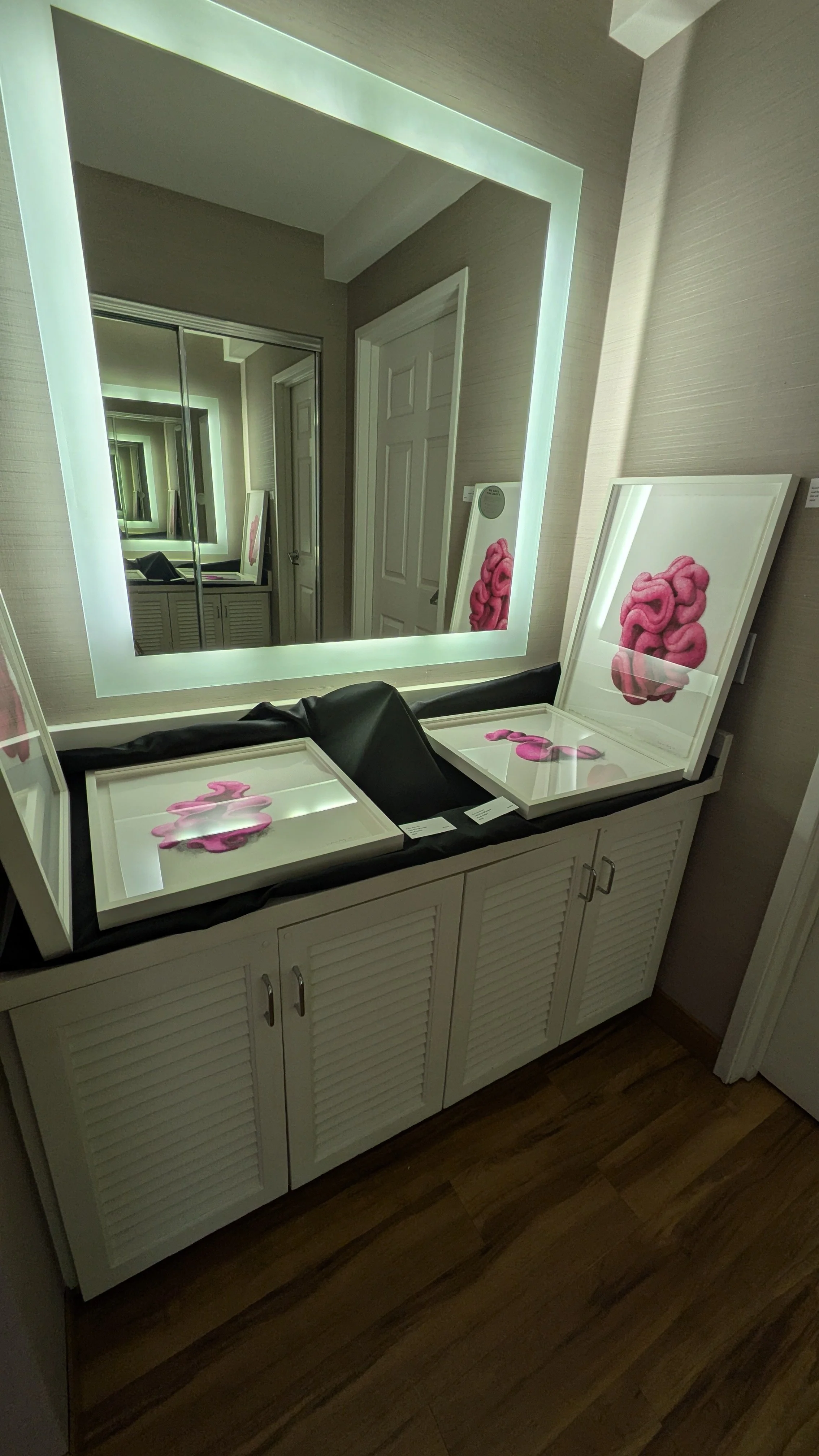 Room- bathroom with wool drawings.jpg