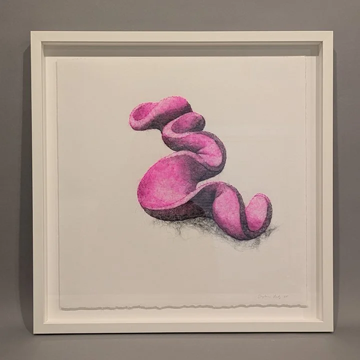 Succulence 4, Framed