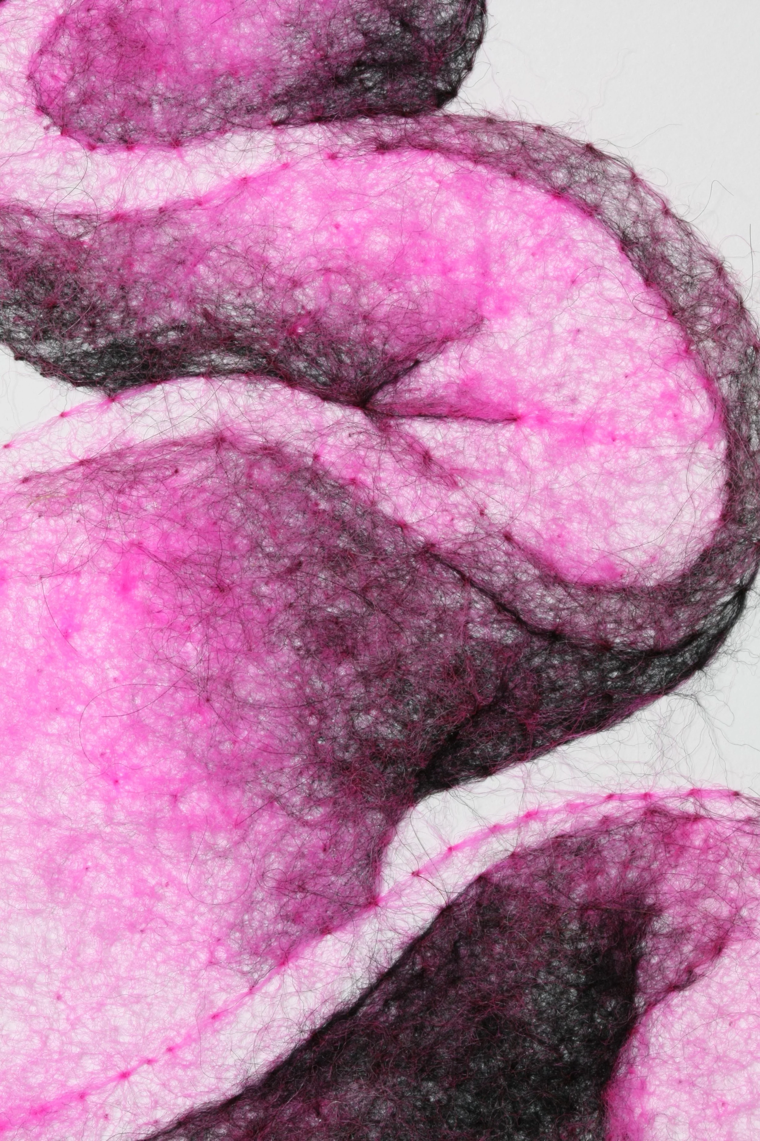 Succulence 4 (Opuntia) , wool through paper, framed, 15 x 15 x .25 inches, 2025