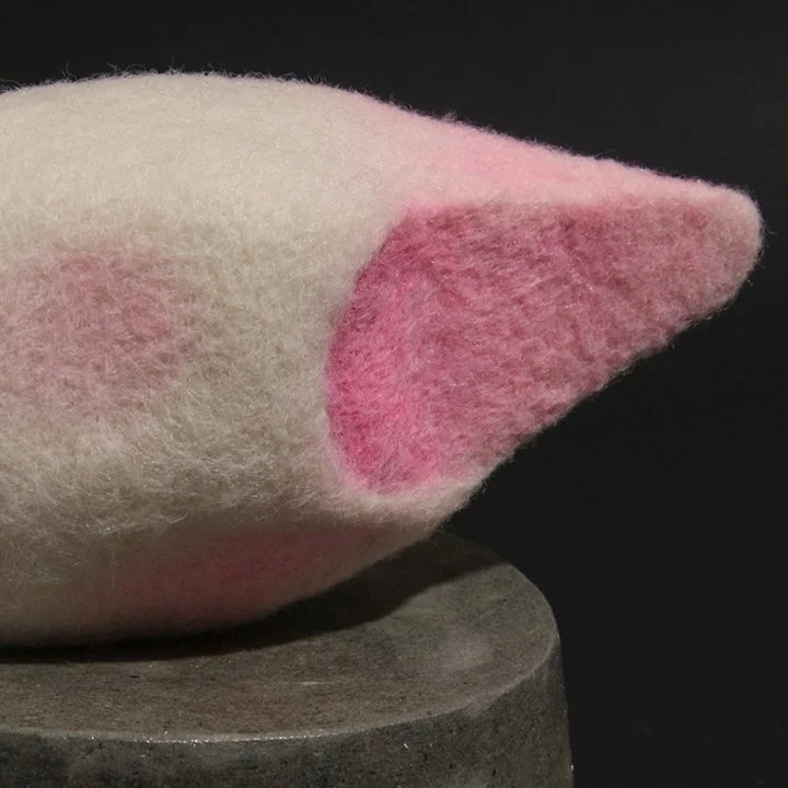 Consentia 11 Rostrate detail IMG_1293.jpg