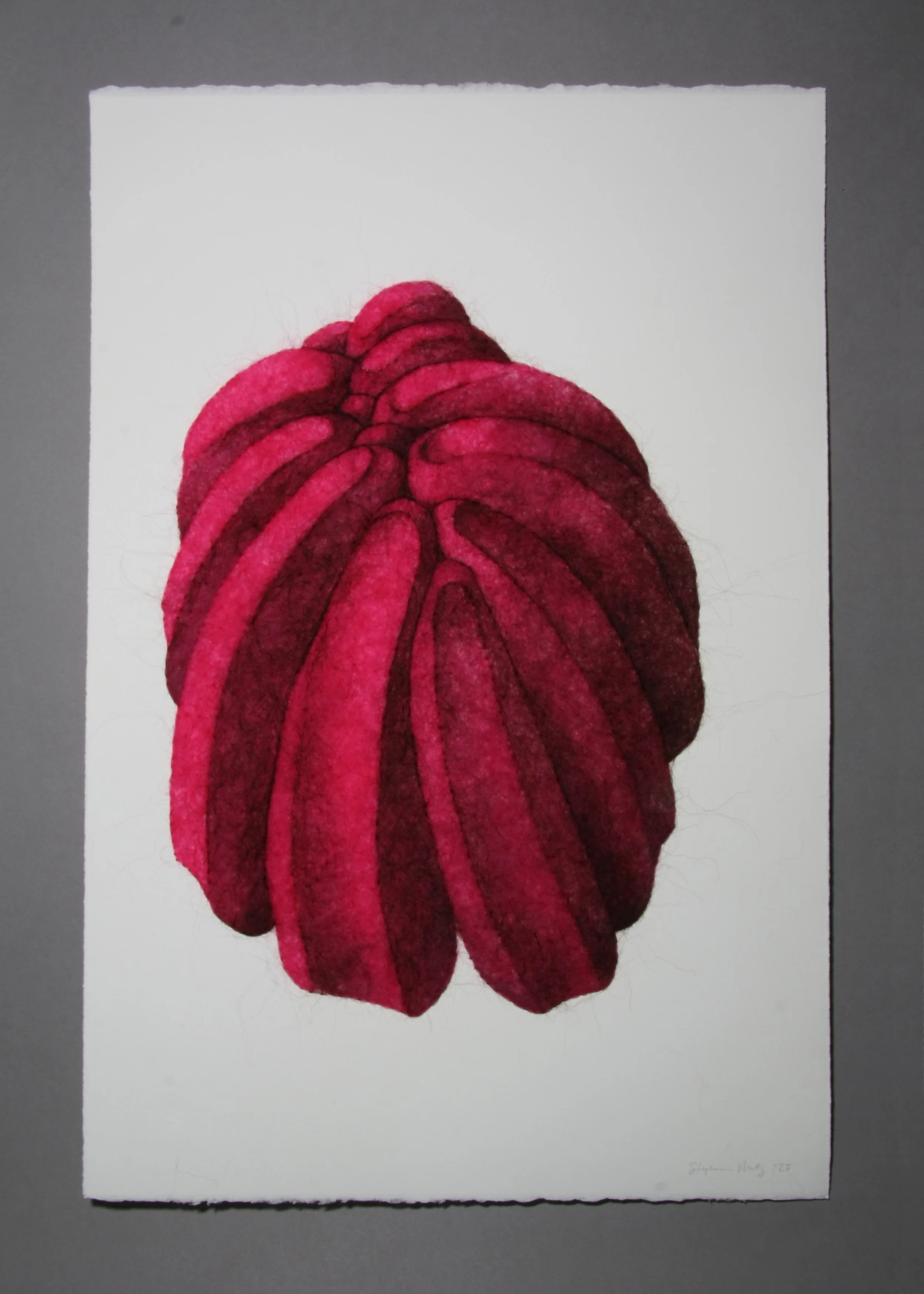 Succulence 2, wool through paper, 22 x 15 x .25 inches, 2025