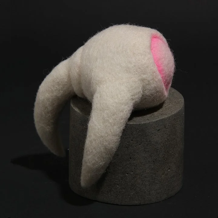 Consentia 7 Monocular IMG_1316.jpg