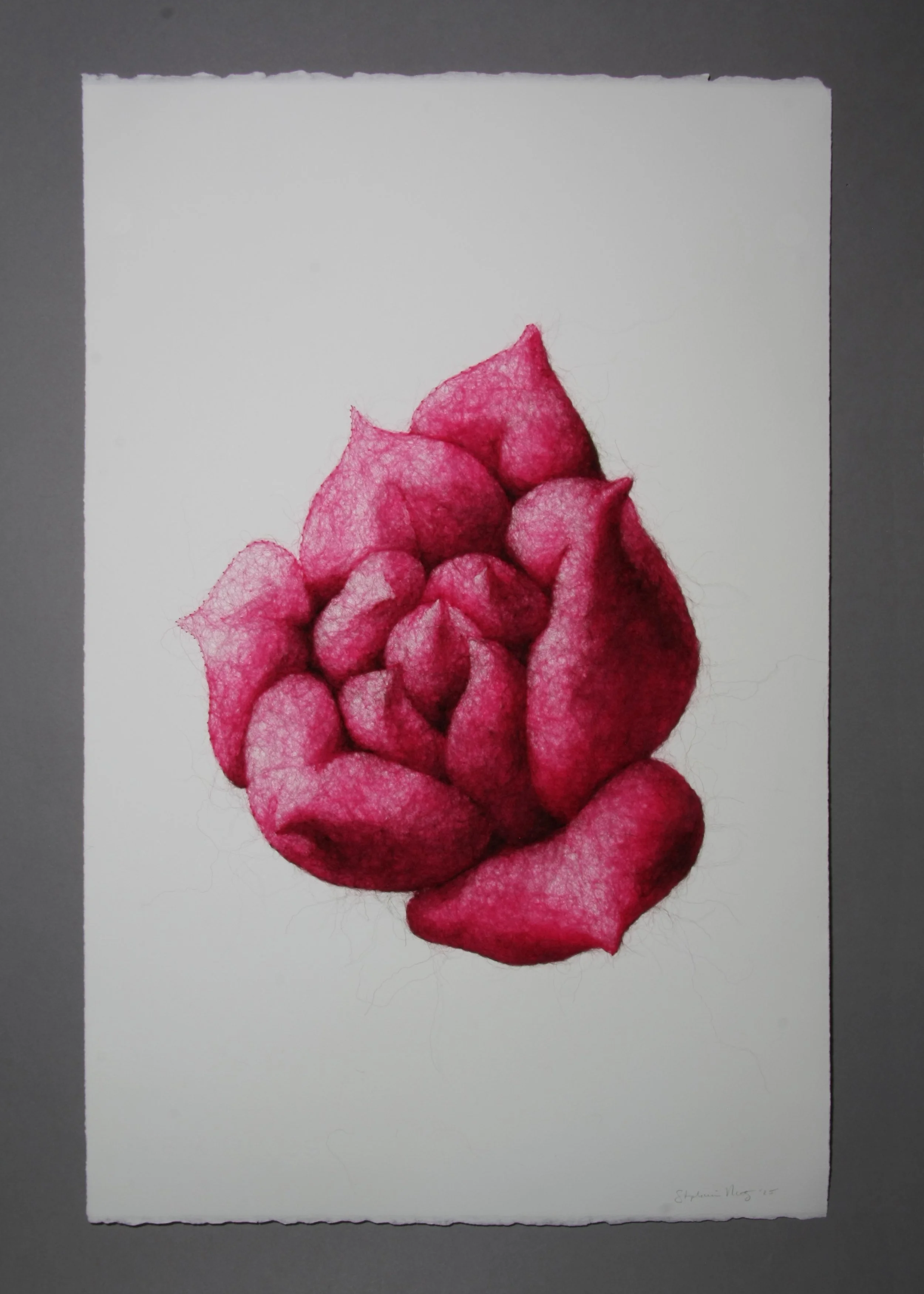Succulence 1, wool through paper, framed, 25.5 × 18 inches, 2025