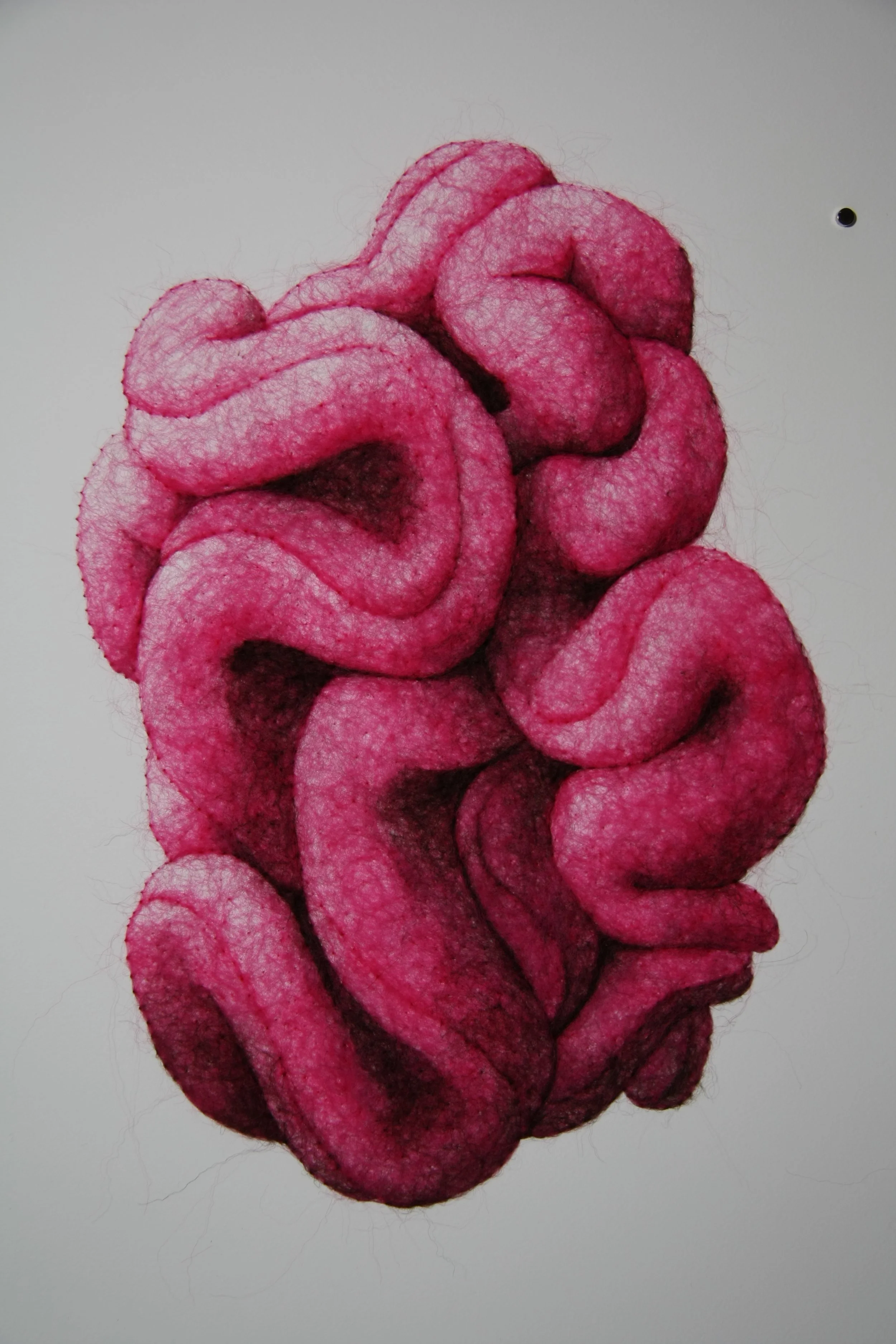 Succulence 6, wool through paper, framed, 22 x 15 x .25 inches, 2025