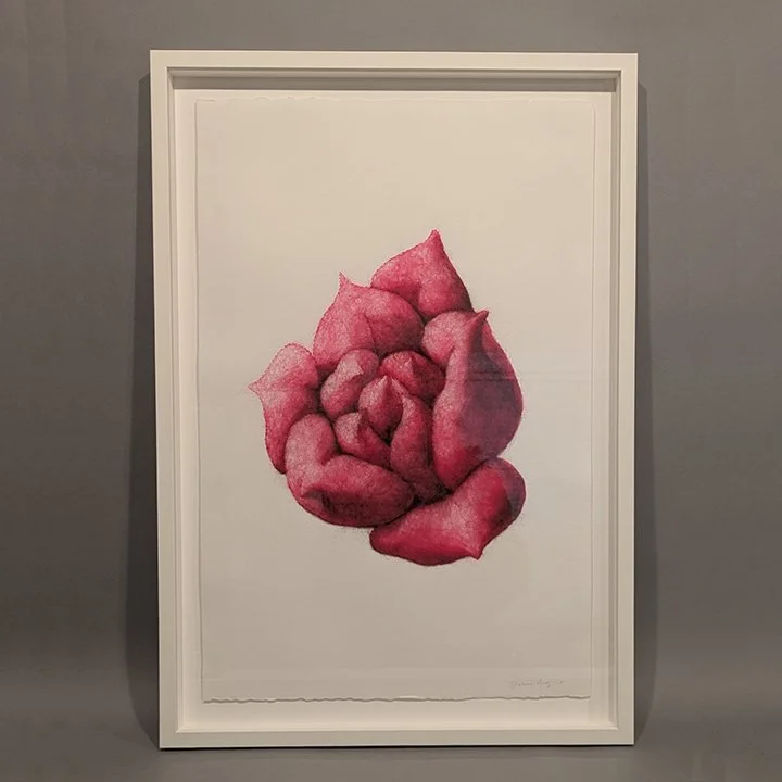 Succulence 1, Framed