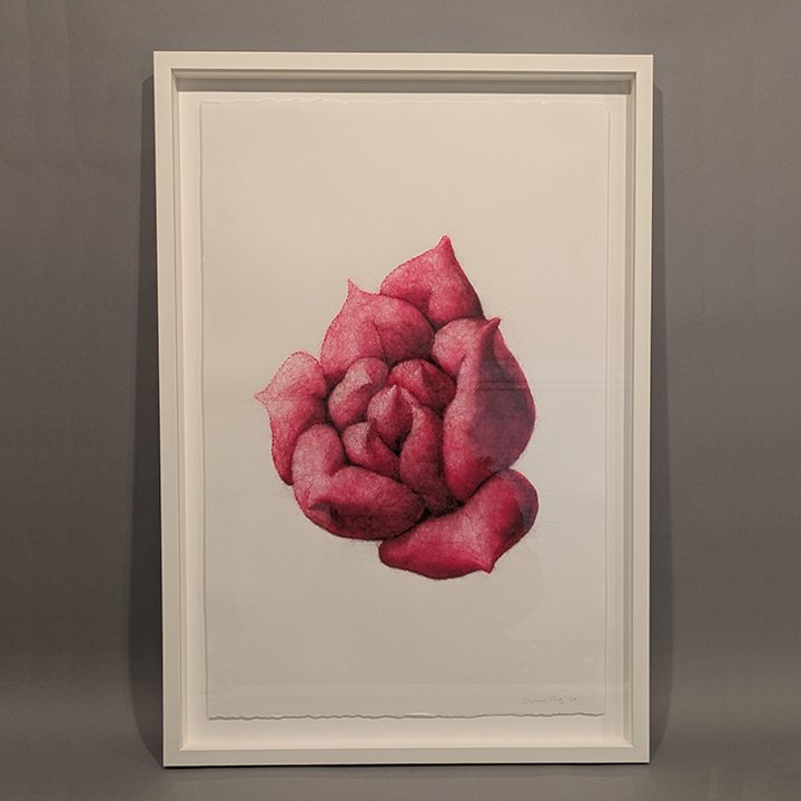 Succulence 1, Framed  Stephanie Metz