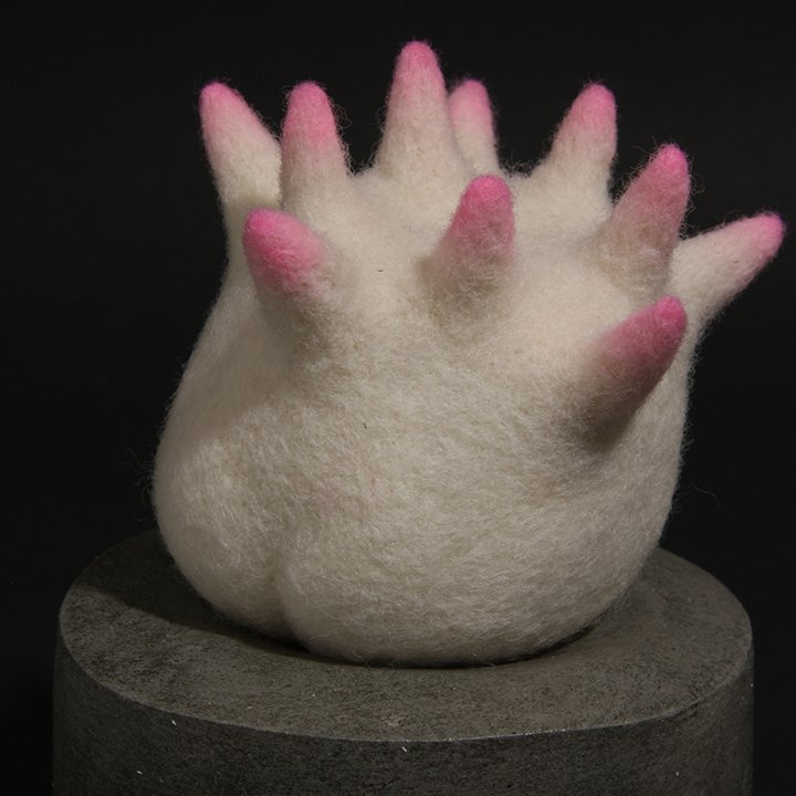 Consentia 4 Muricate IMG_1284.jpg