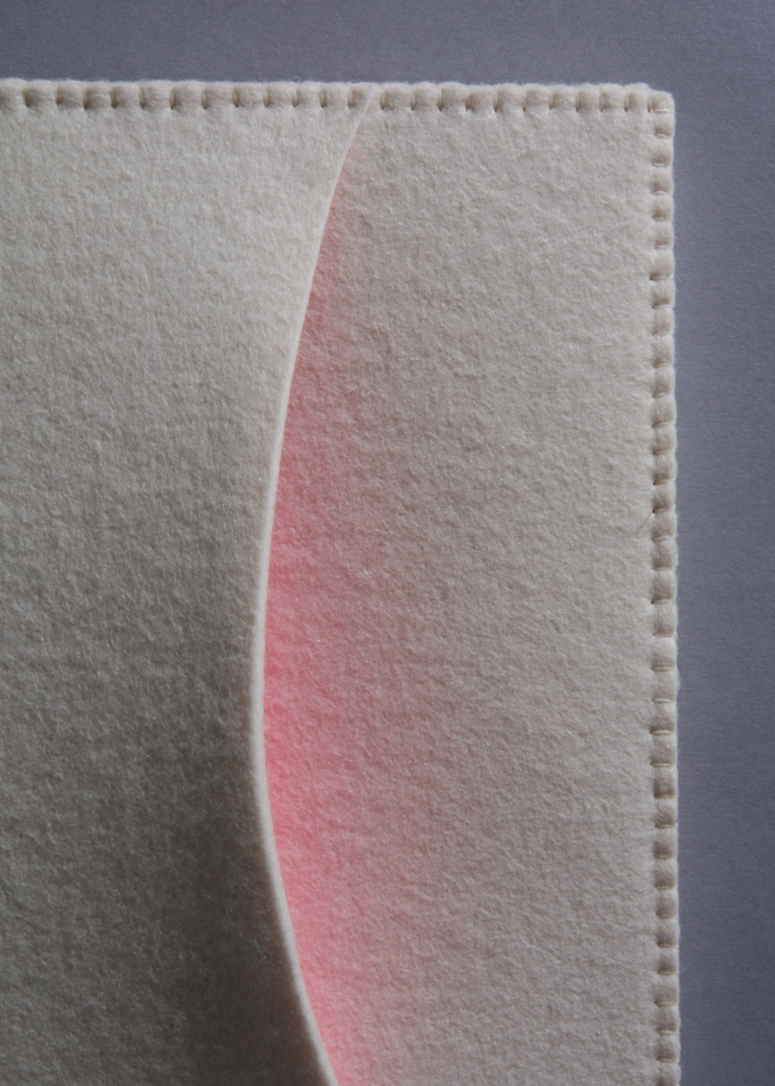 Sidelight Upper detail IMG_1489.jpg
