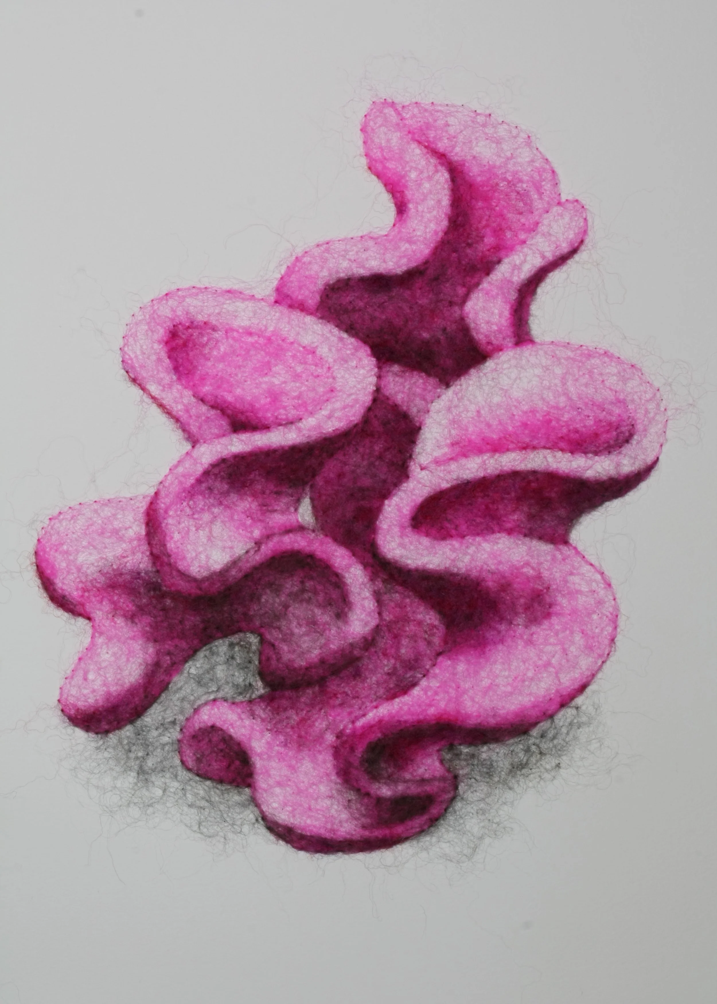 Succulence 3 (Opuntia) , wool through paper, framed, 15 x 15 x .25 inches, 2025