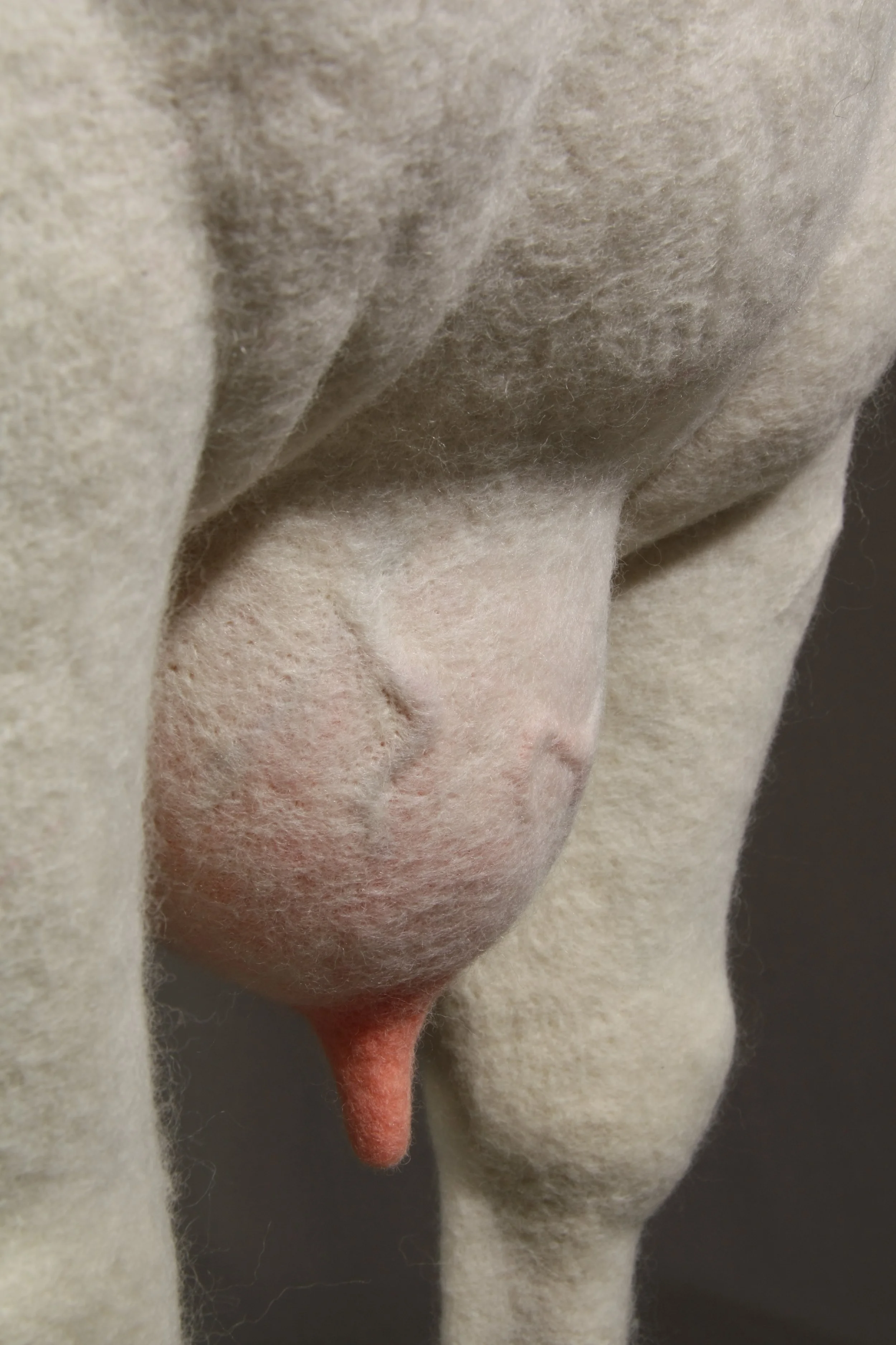    Acephala Mater , wool, industrial felt, polyurethane foam, resin, concrete, steel, 30" x 18.5" x 18.5", 2026.  