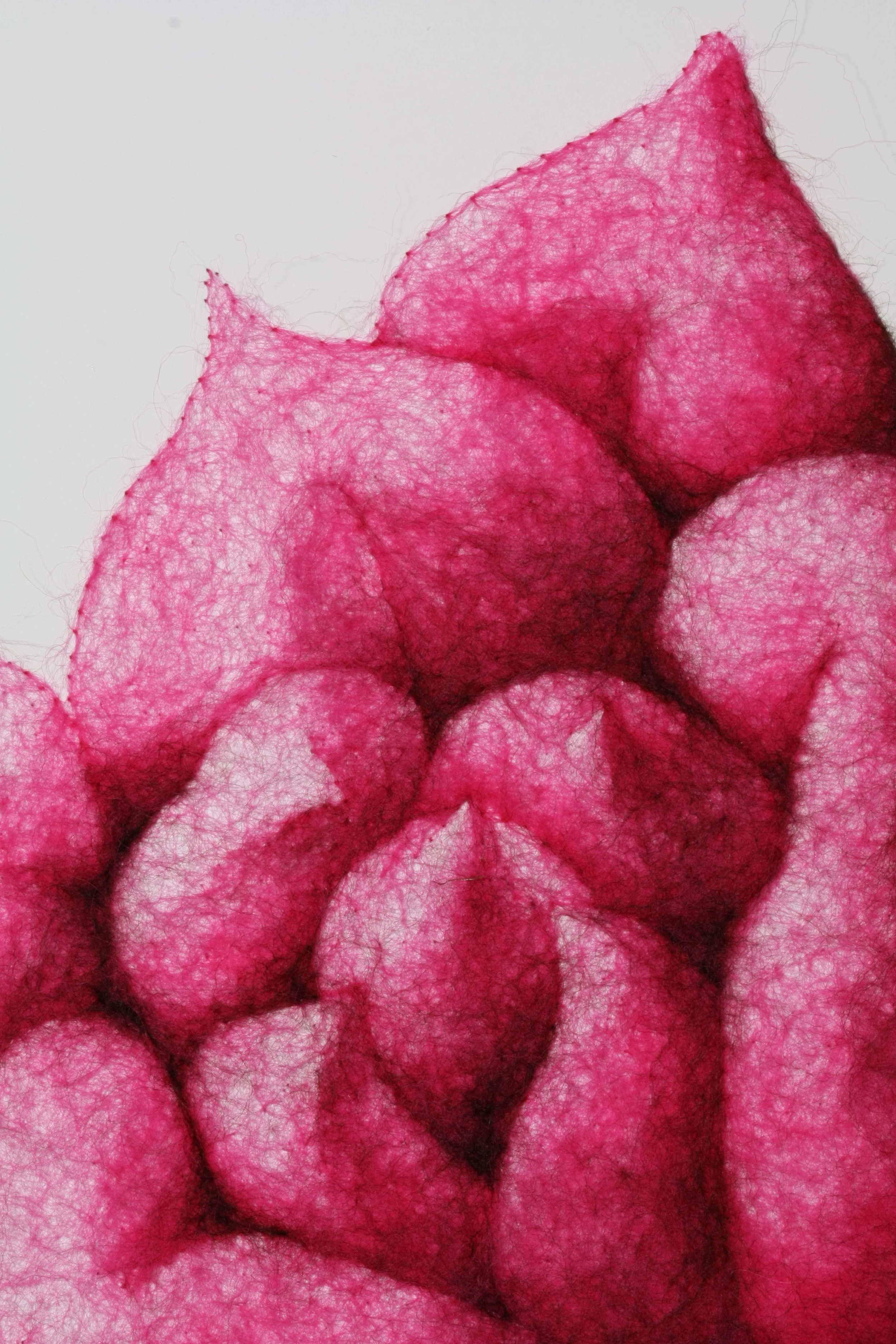 Succulence 1, wool through paper, framed, 25.5 × 18 inches, 2025