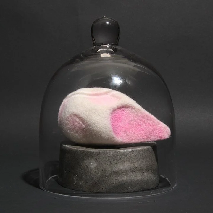 Consentia #11 (Rostrate)