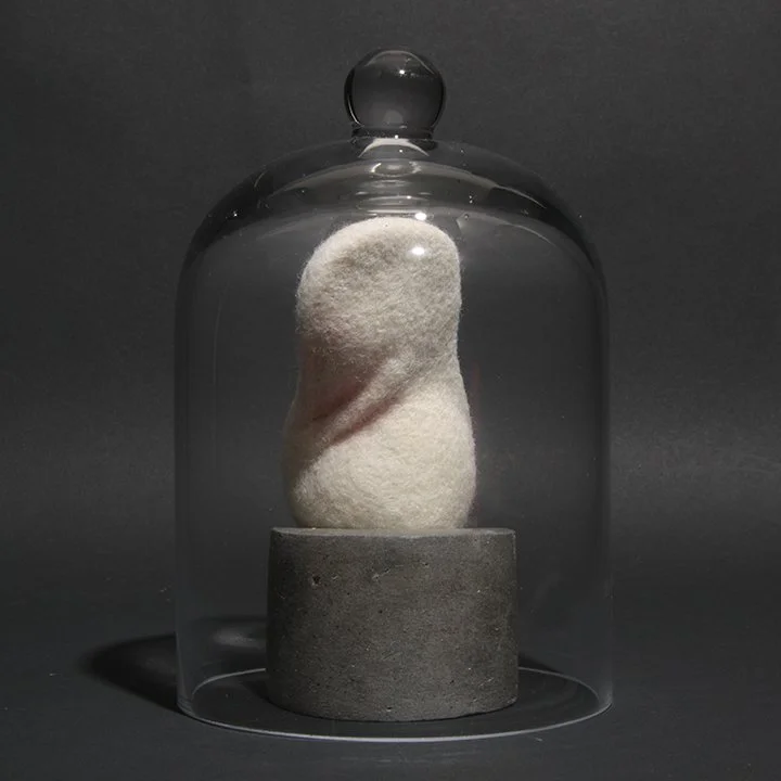 Consentia #8 (Panduriform)