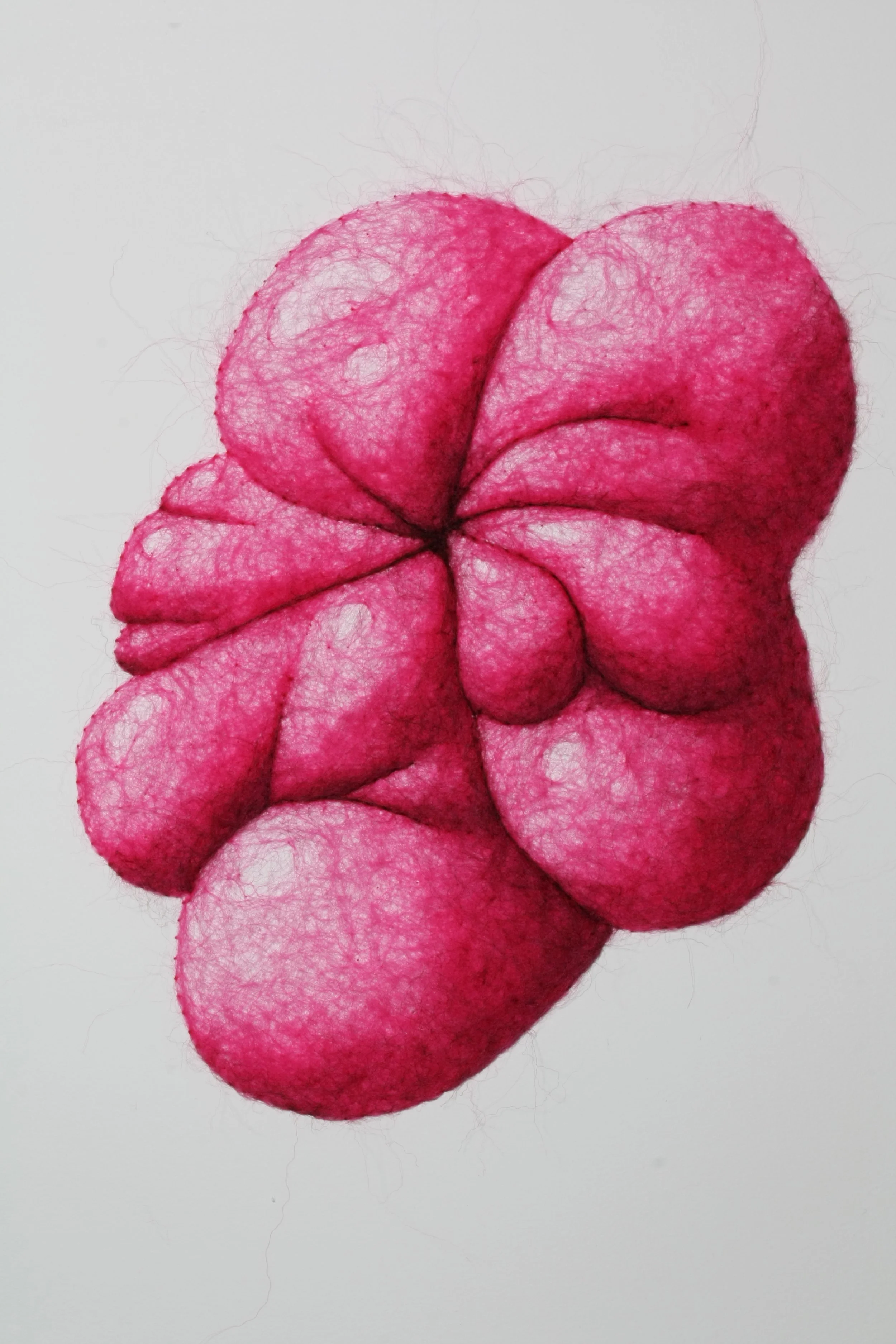 Fructus 1 (Solanum), wool through paper, 15 x 15 x .25 inches, 2025