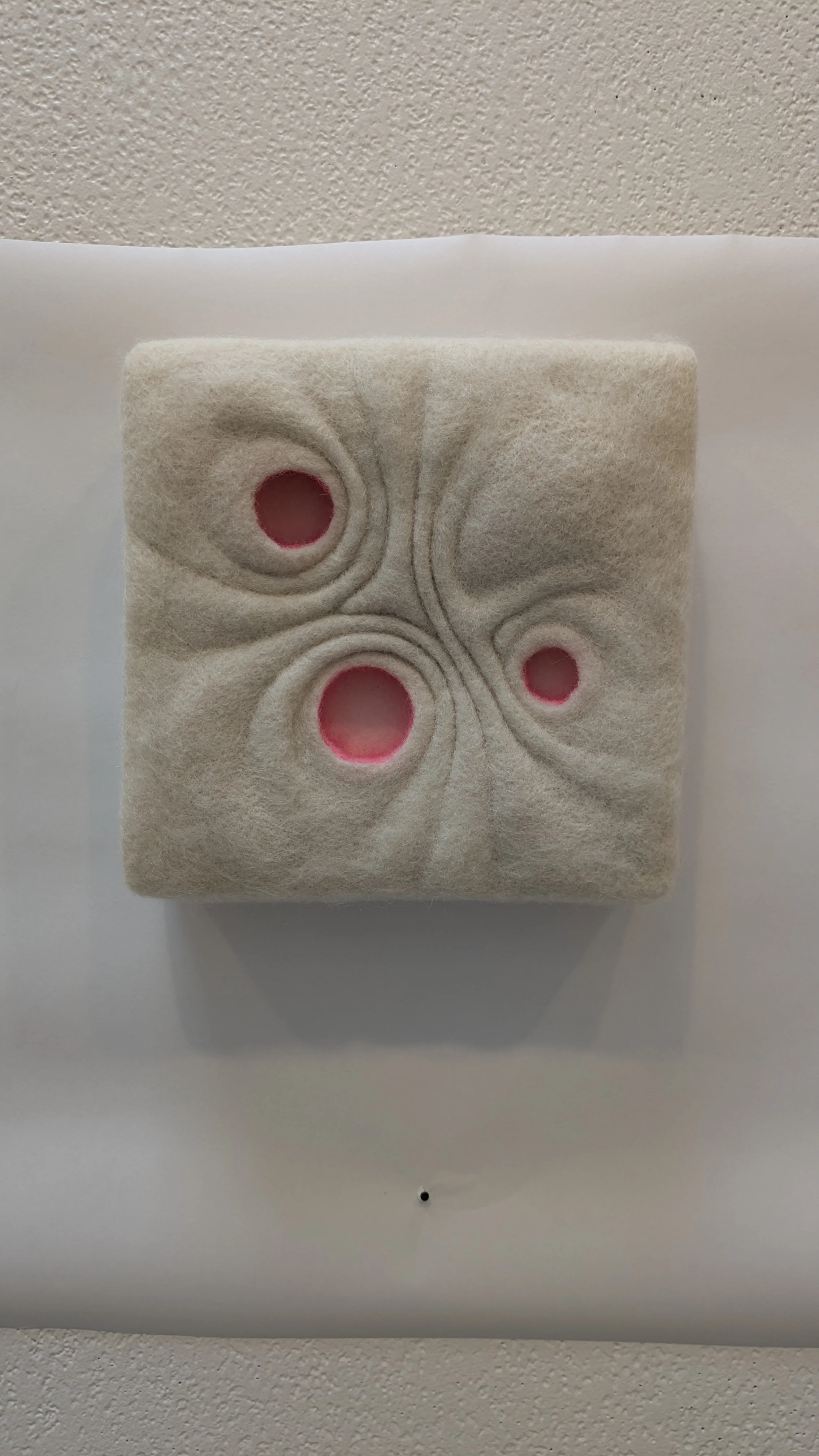 Pinkness Panel #2 (Hole Trio)