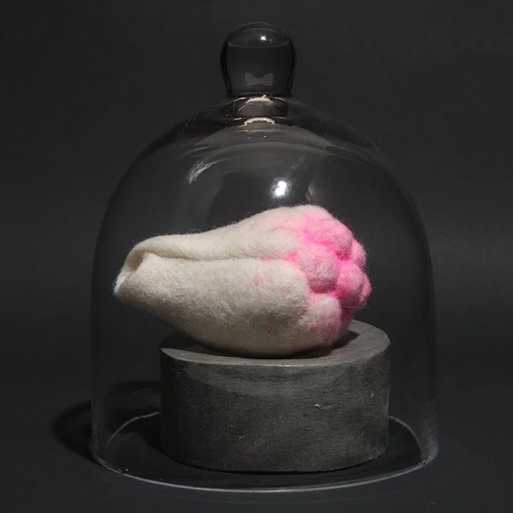 Consentia #1 (Verrocose)