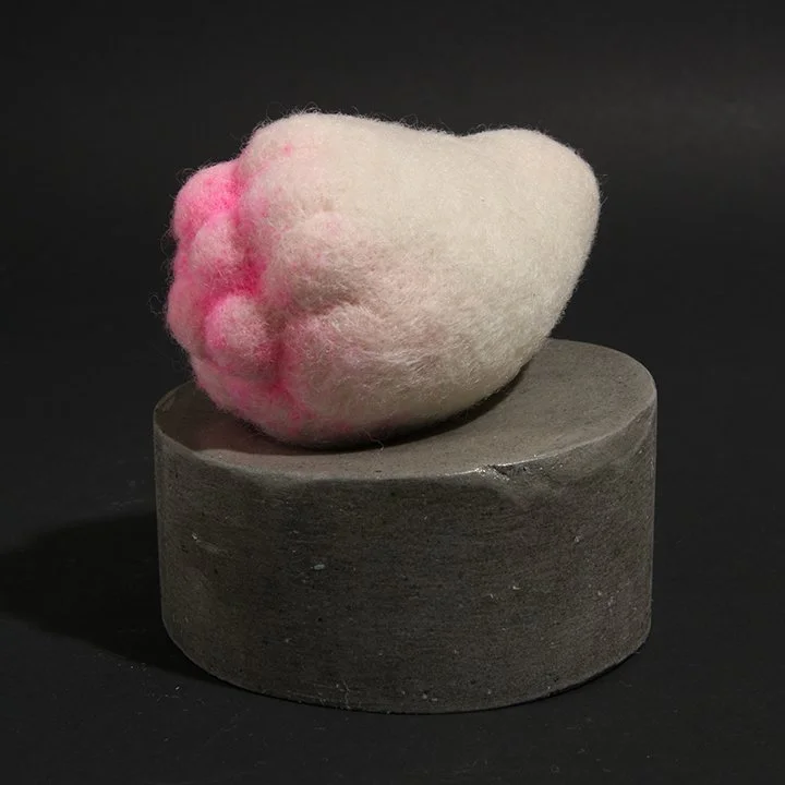 Consentia 1 Verrocose IMG_1300.jpg