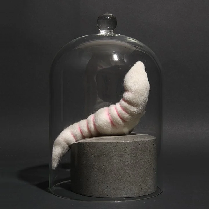 Consentia #3 (Sigmoid)