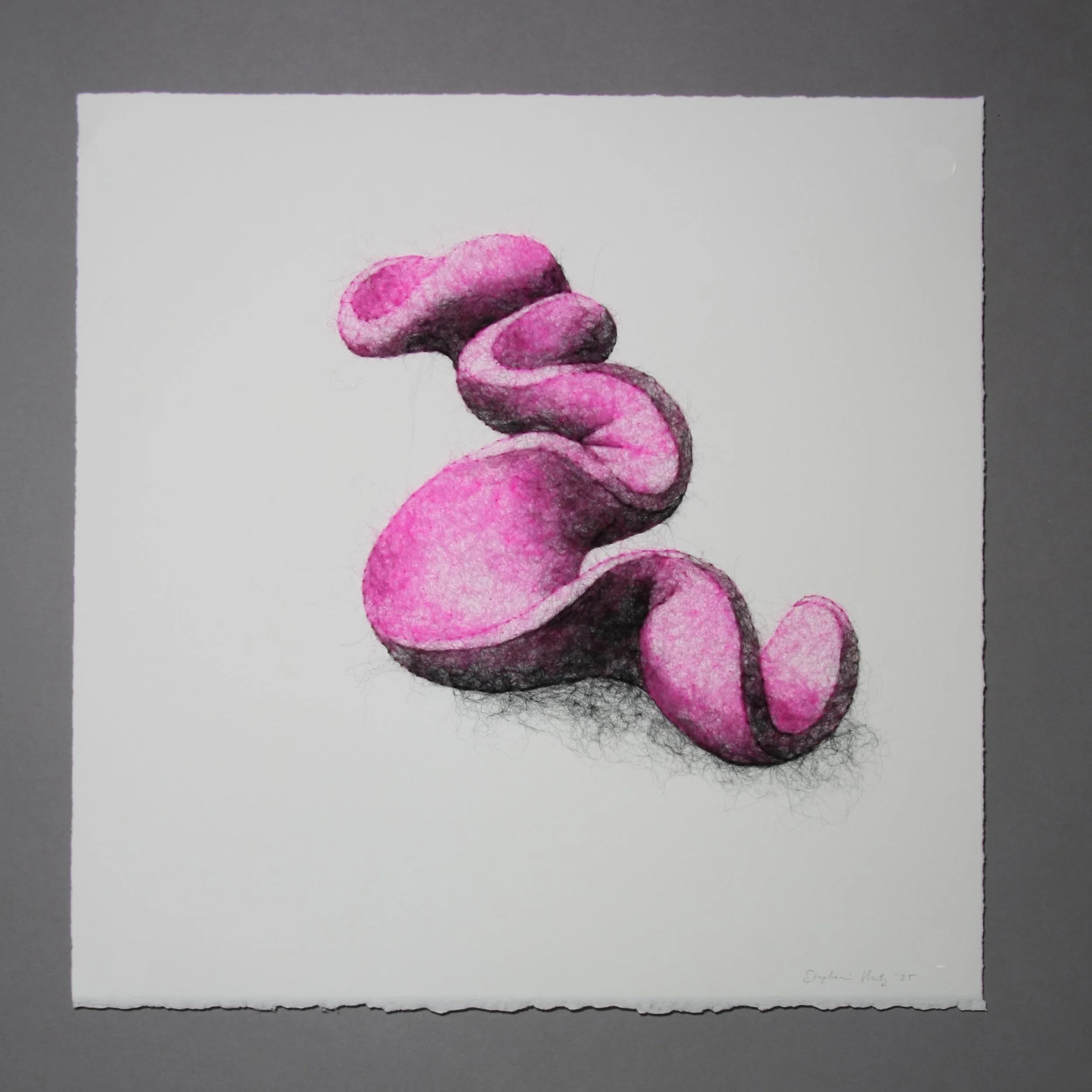 Succulence 4 (Opuntia) , wool through paper, framed, 15 x 15 x .25 inches, 2025