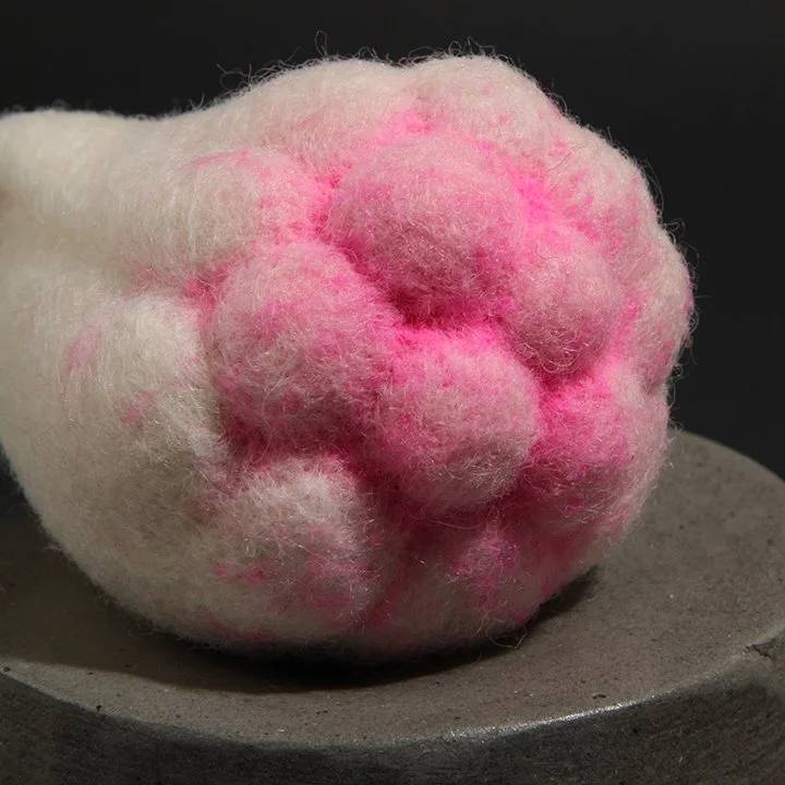 Consentia 1 Verrocose Detail IMG_1303.jpg