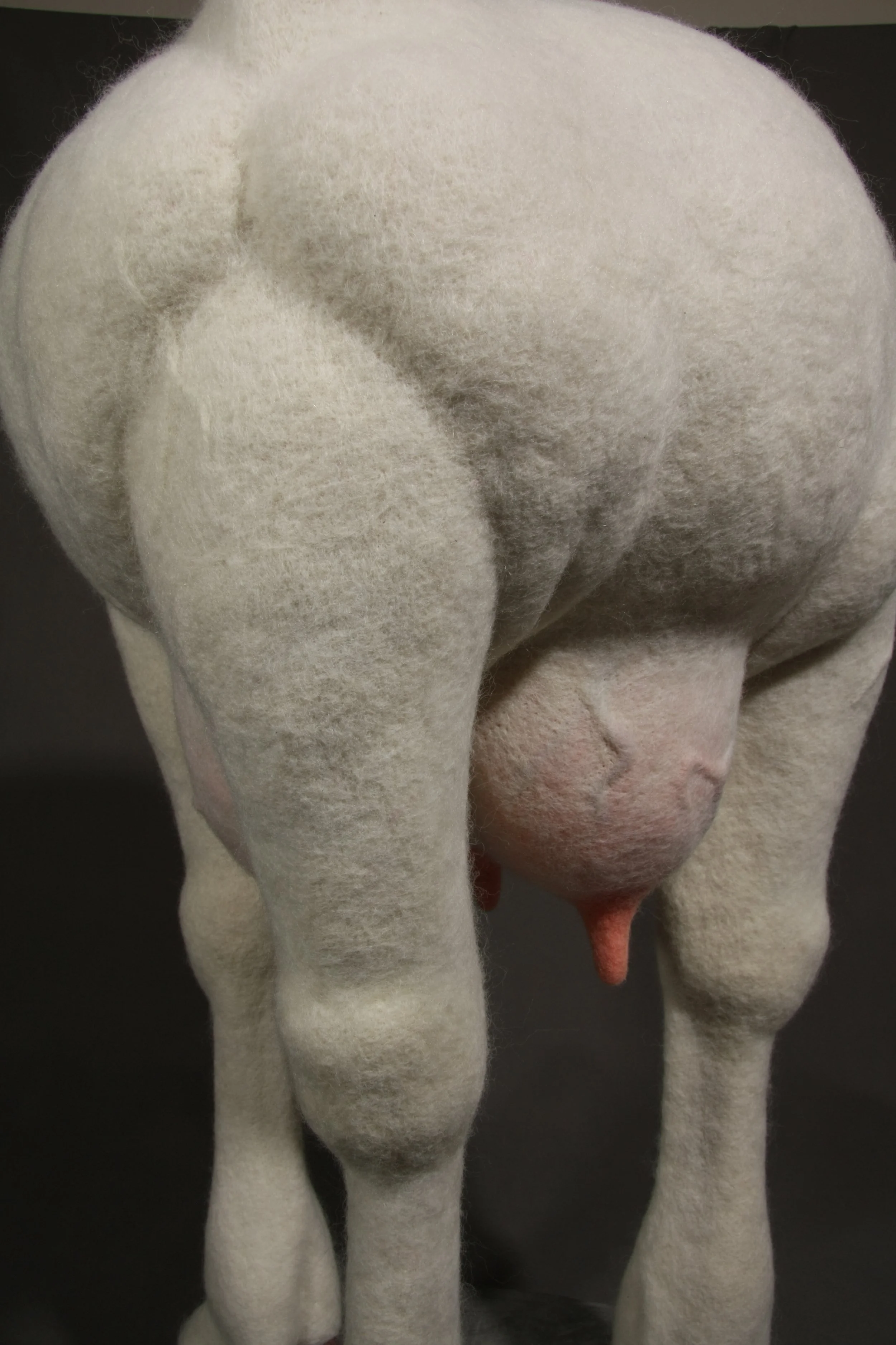    Acephala Mater , wool, industrial felt, polyurethane foam, resin, concrete, steel, 30" x 18.5" x 18.5", 2026.  
