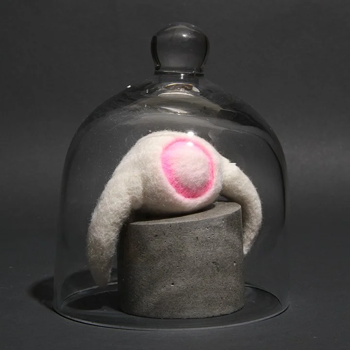 Consentia #7 (Monocular)