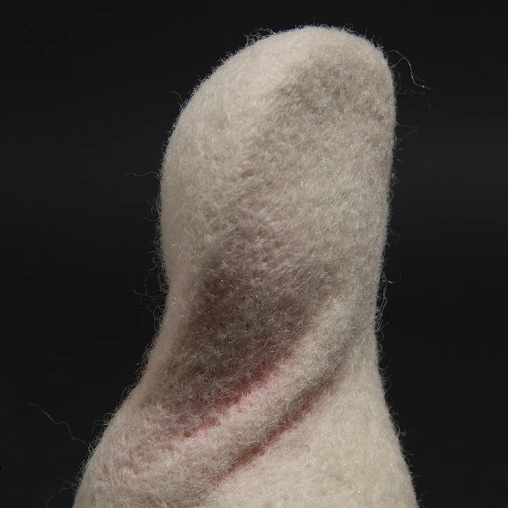 Consentia 8 Panduriform detail IMG_1313.jpg