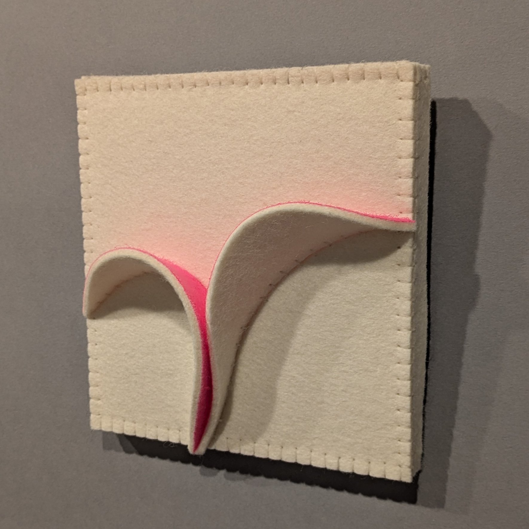 Pinkness Study 27 Overlap Right.jpg