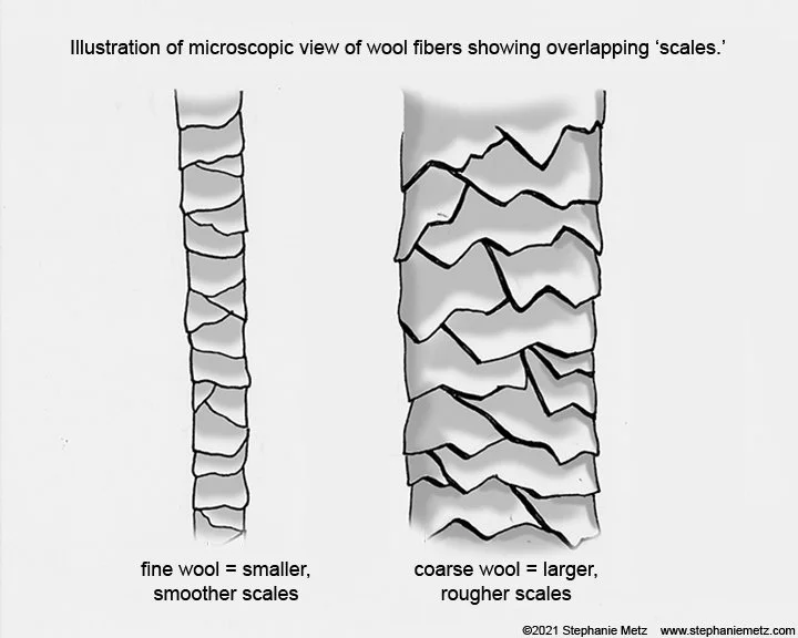 Understanding felting needles with photos and illustrations — Stephanie ...