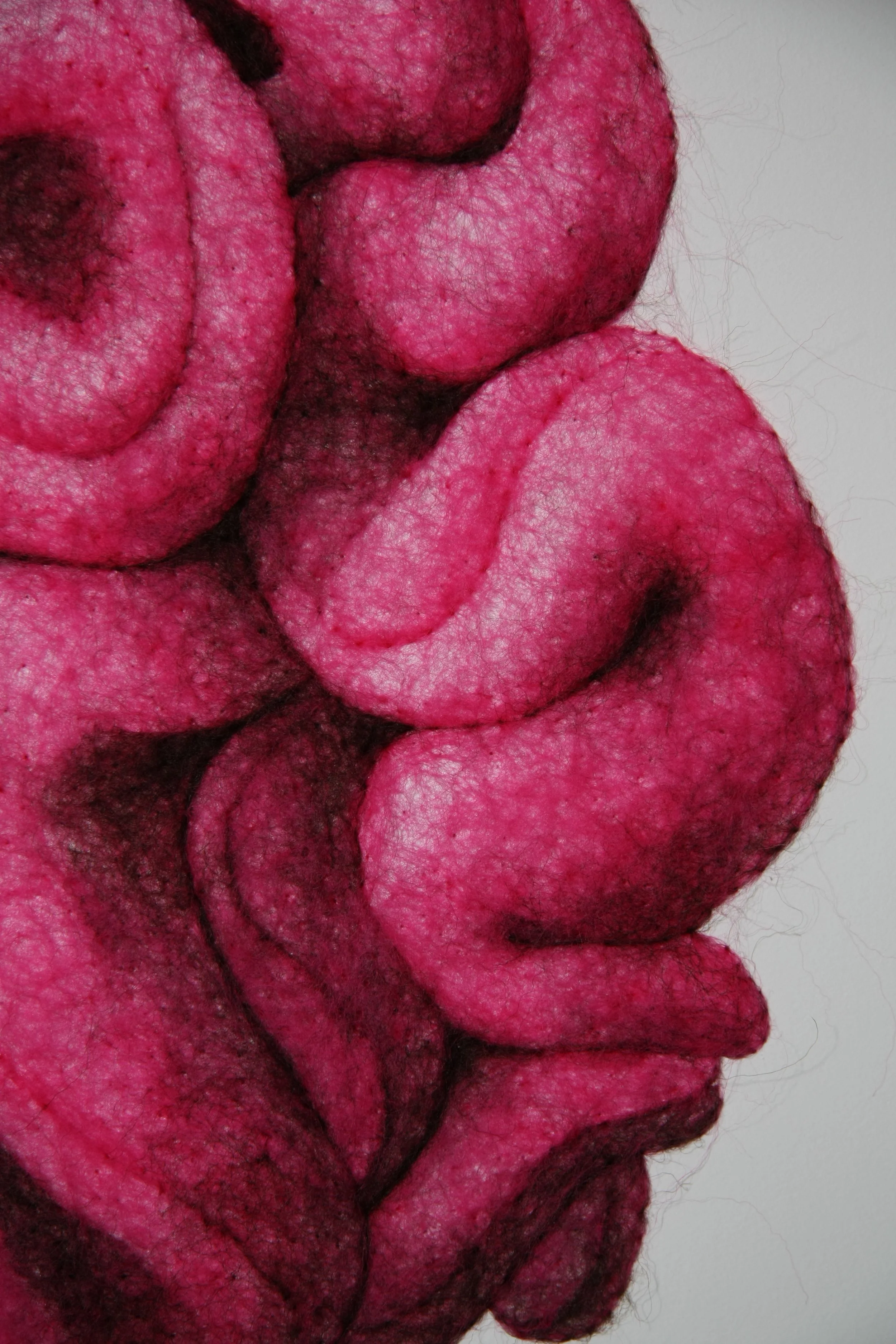 Succulence 6, wool through paper, framed, 22 x 15 x .25 inches, 2025