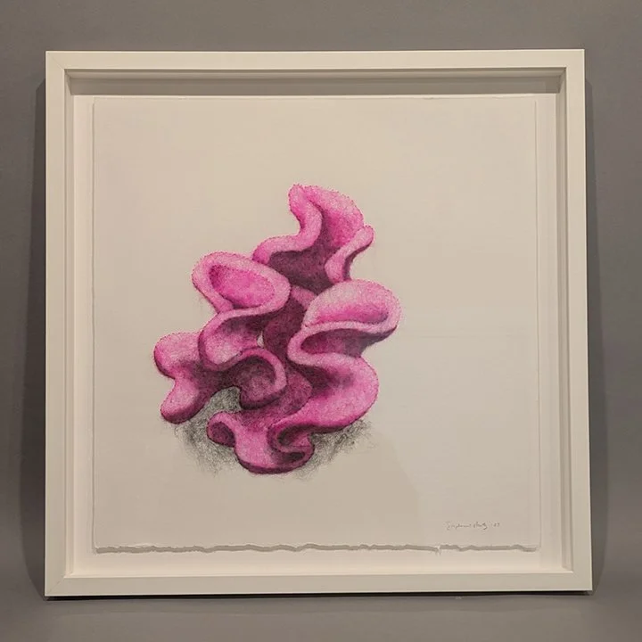 Succulence 3, Framed