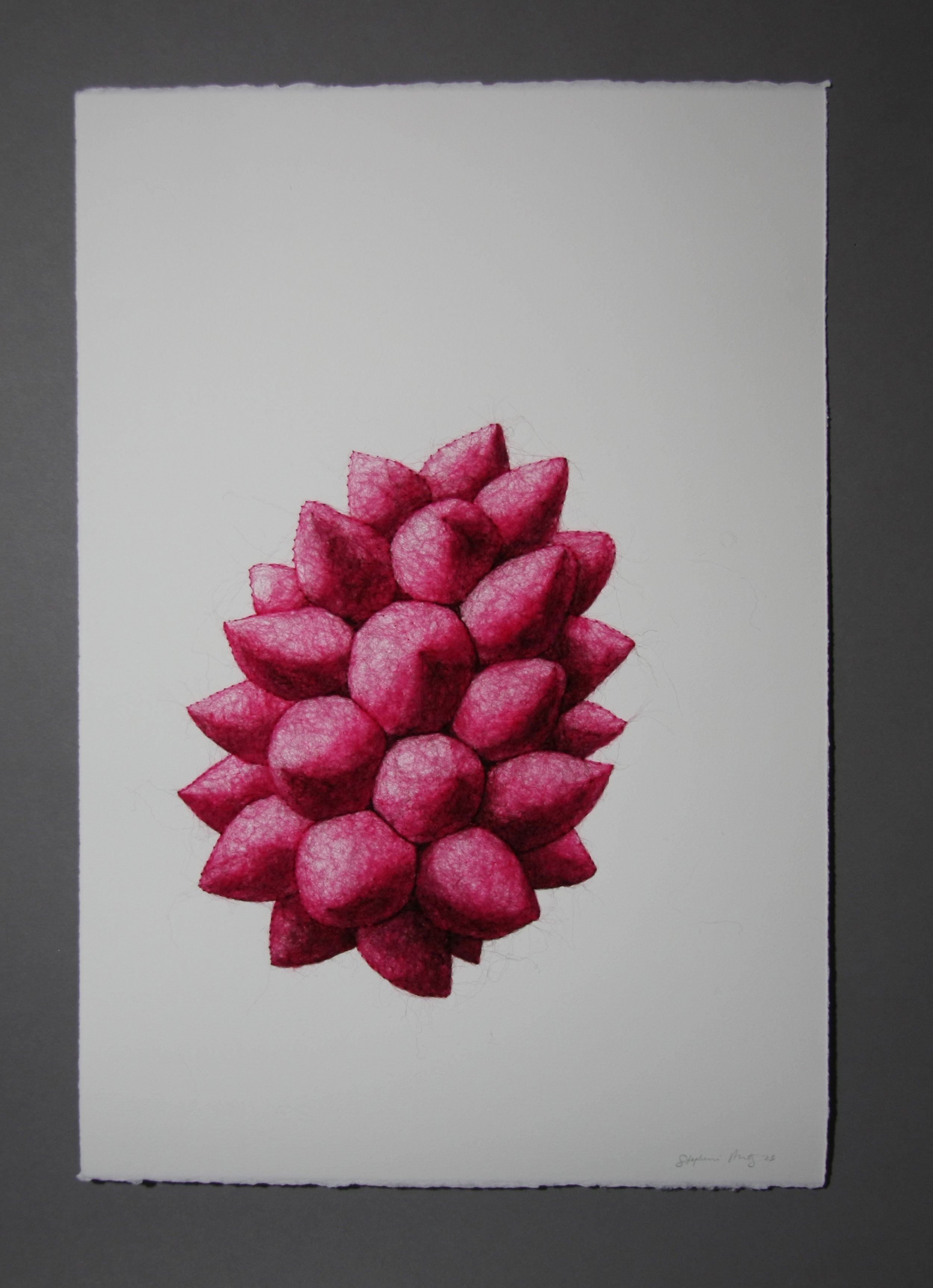 Succulence 5, wool through paper, framed, 22 x 15 x .25 inches, 2025