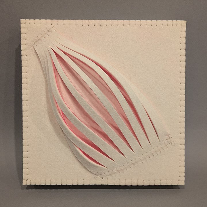 Pinkness Study #30 (Caged)