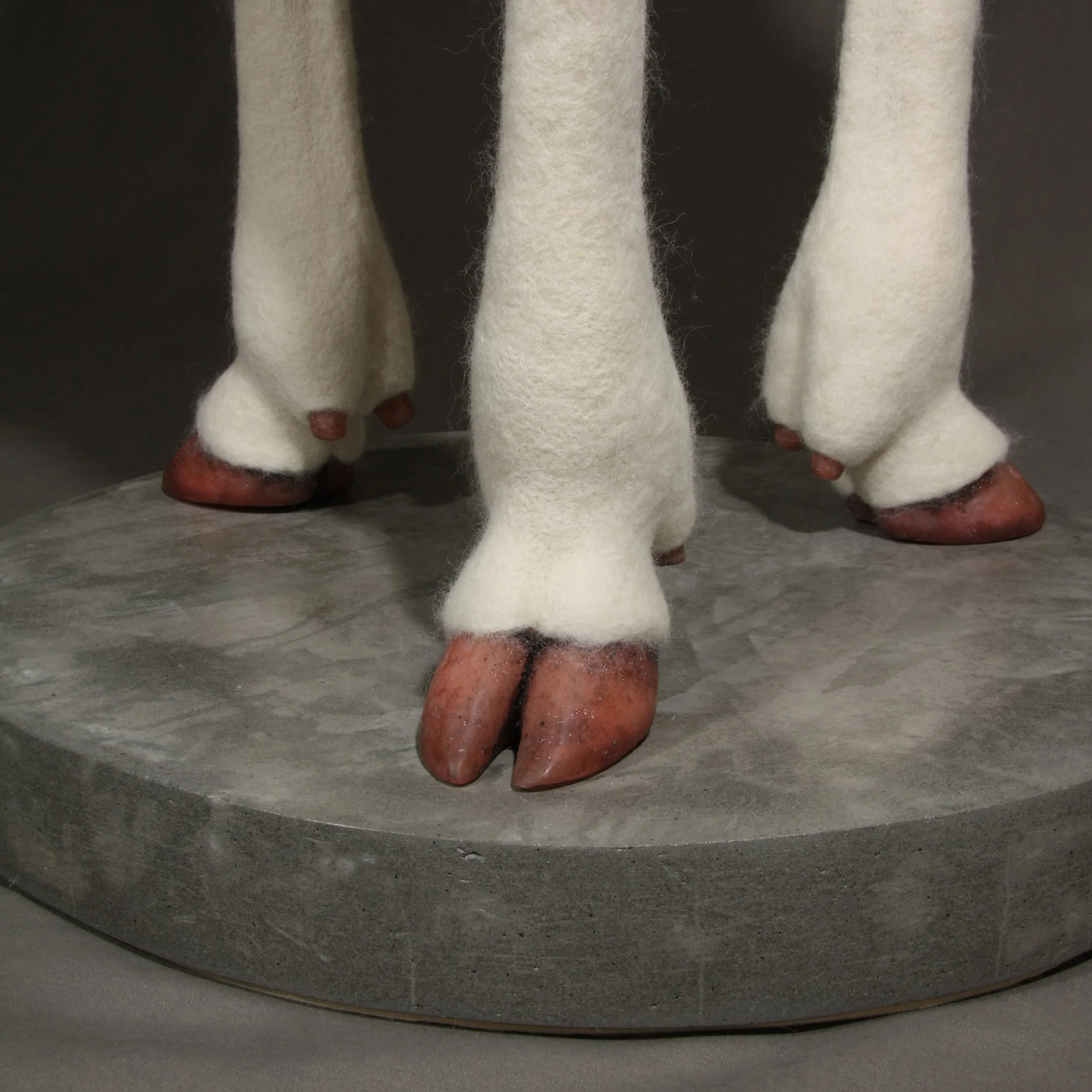 Acephala Mater Hooves detail IMG_1165.jpg