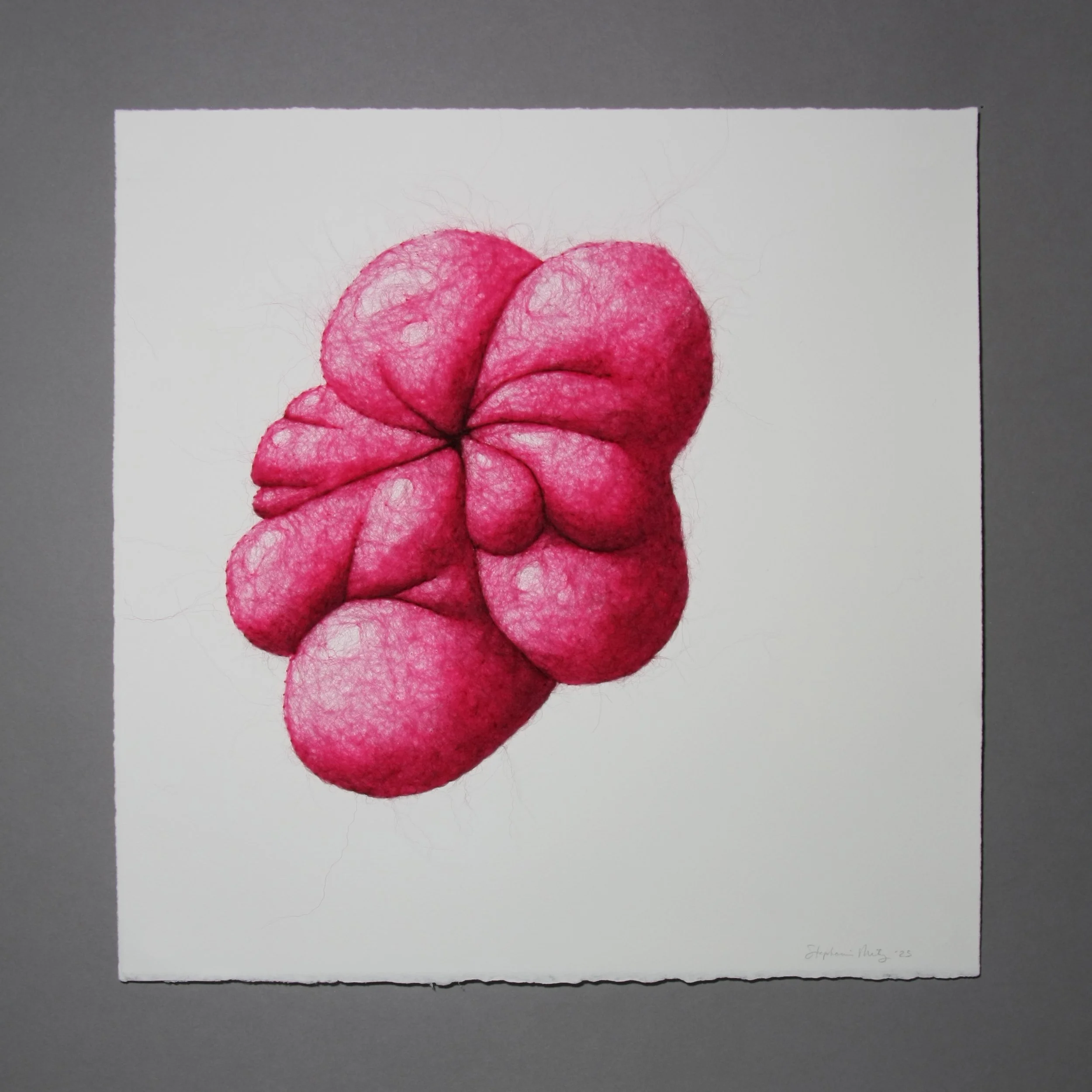 Fructus 1 (Solanum), wool through paper, 15 x 15 x .25 inches, 2025