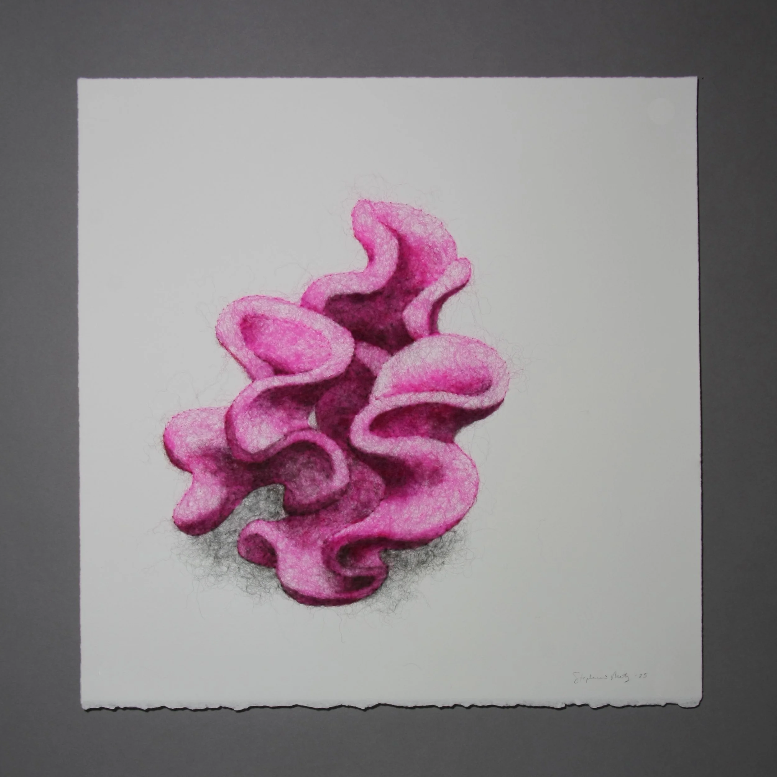 Succulence 3 (Opuntia) , wool through paper, framed, 15 x 15 x .25 inches, 2025